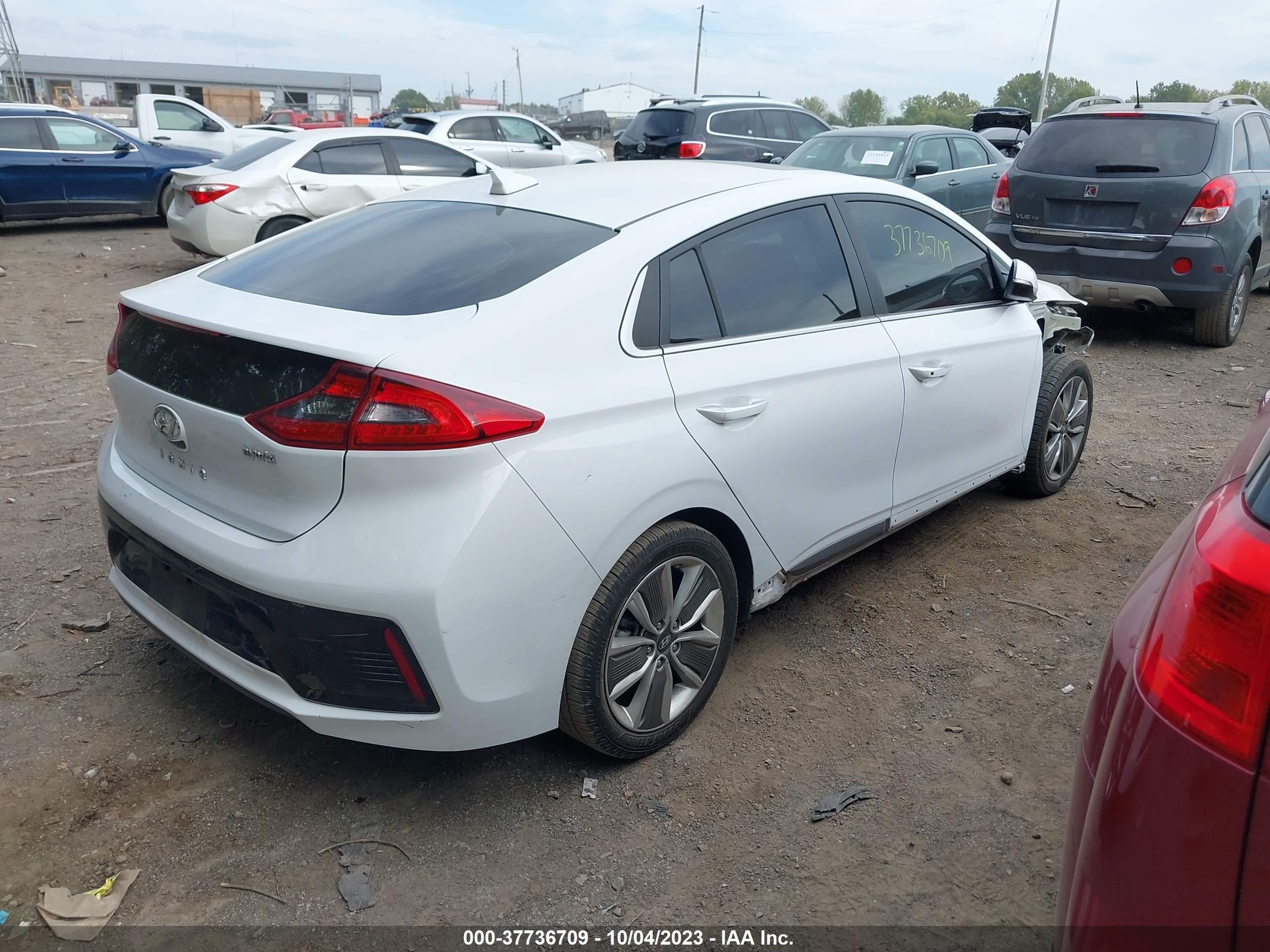 Photo 3 VIN: KMHC05LCXKU112554 - HYUNDAI IONIQ 