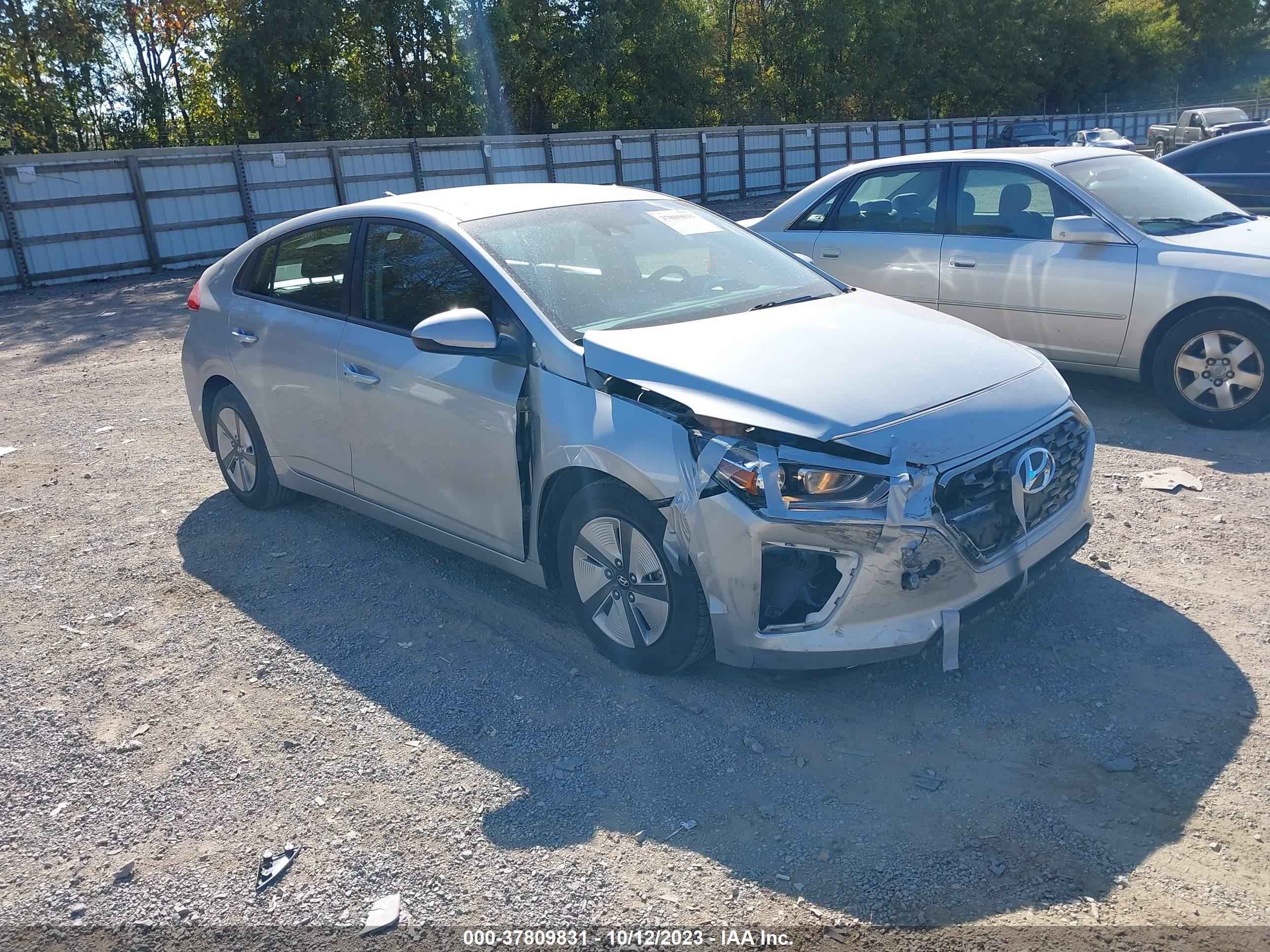 Photo 11 VIN: KMHC65LC0MU261587 - HYUNDAI IONIQ 