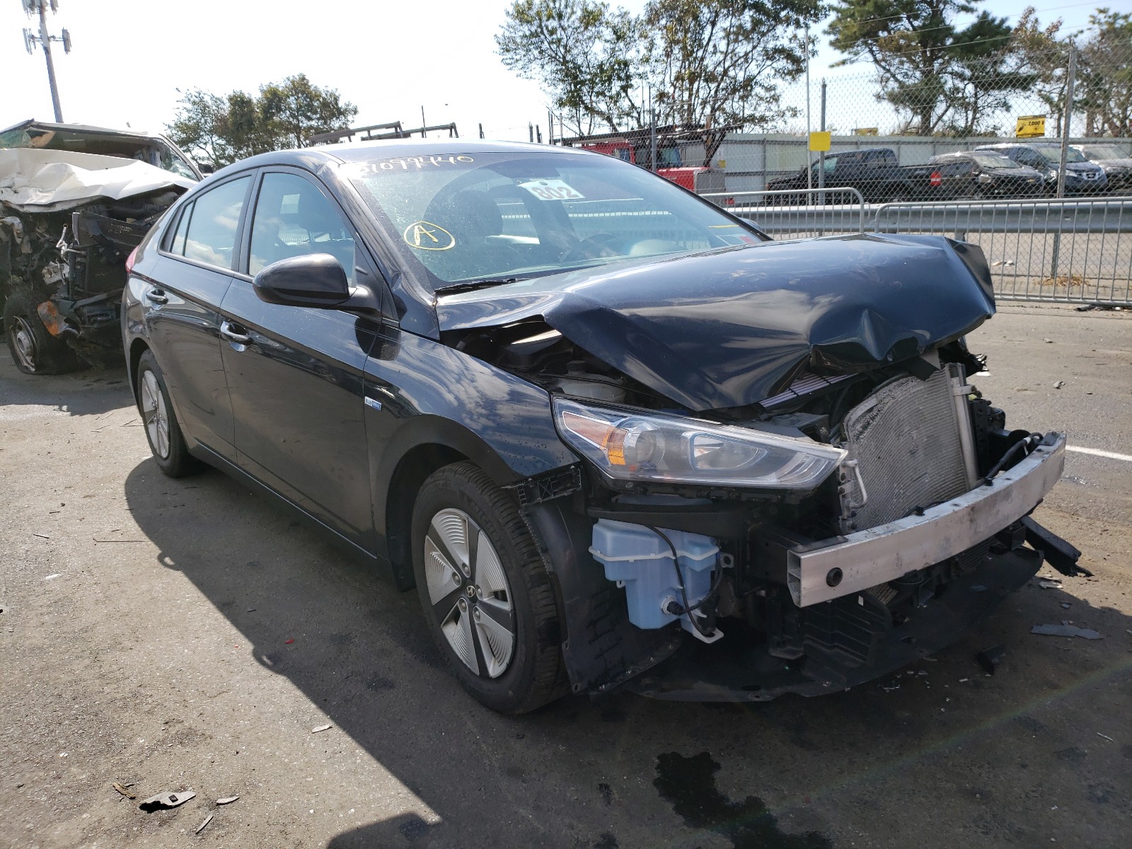 Photo 0 VIN: KMHC65LC6HU036886 - HYUNDAI IONIQ BLUE 