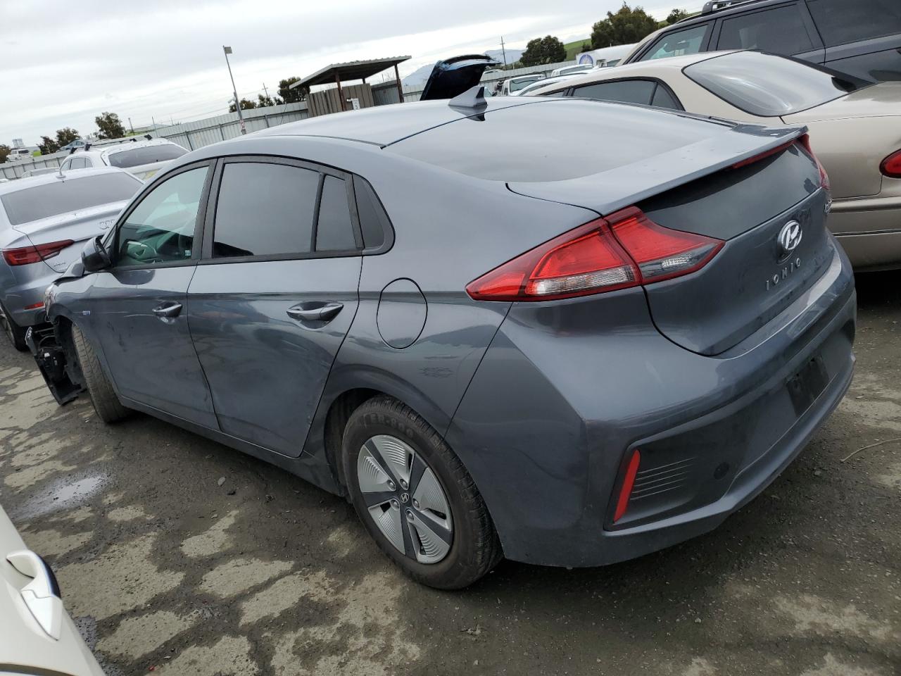 Photo 1 VIN: KMHC65LC8KU131506 - HYUNDAI IONIQ 