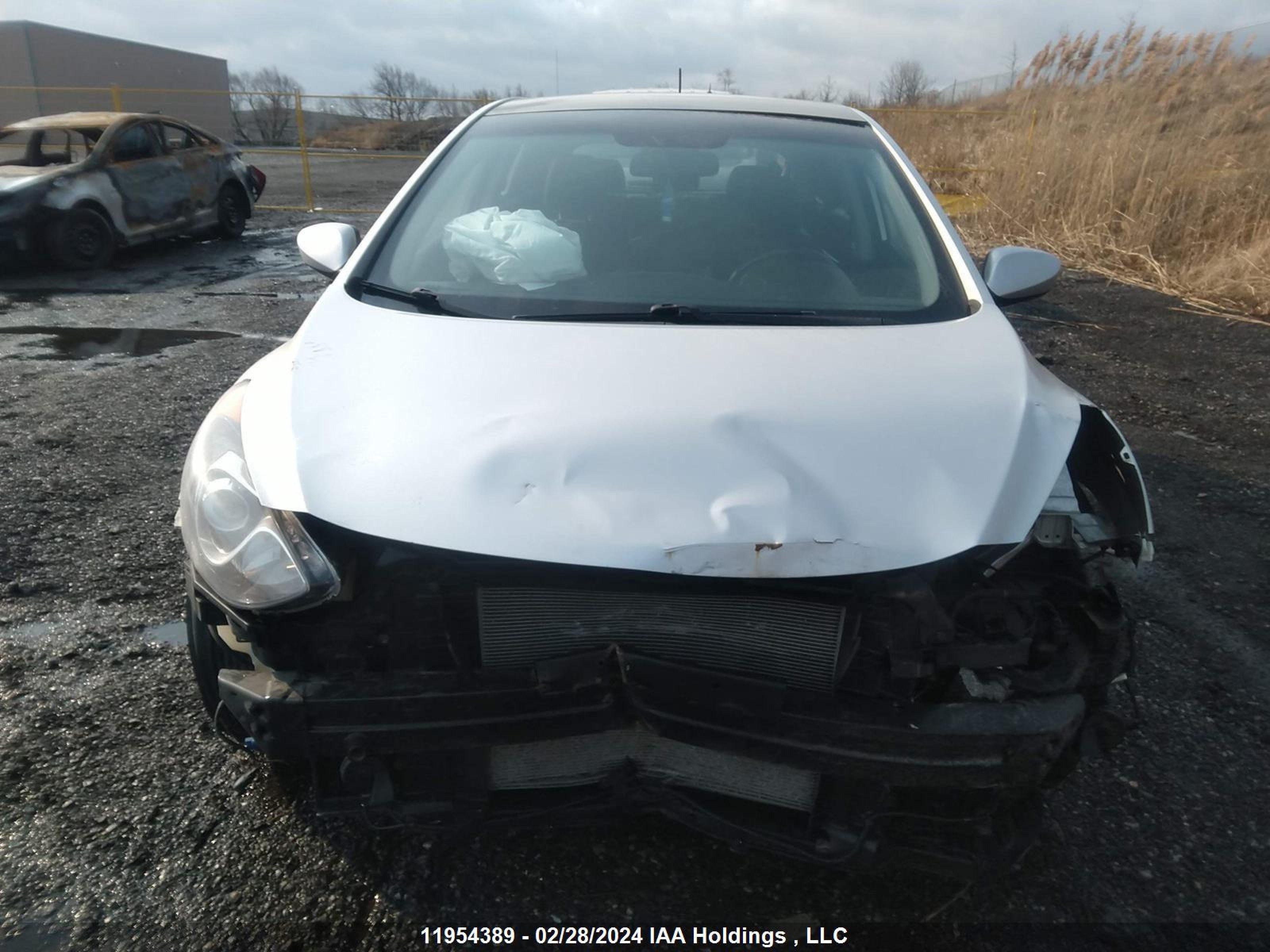 Photo 12 VIN: KMHD35LE7DU123625 - HYUNDAI ELANTRA 