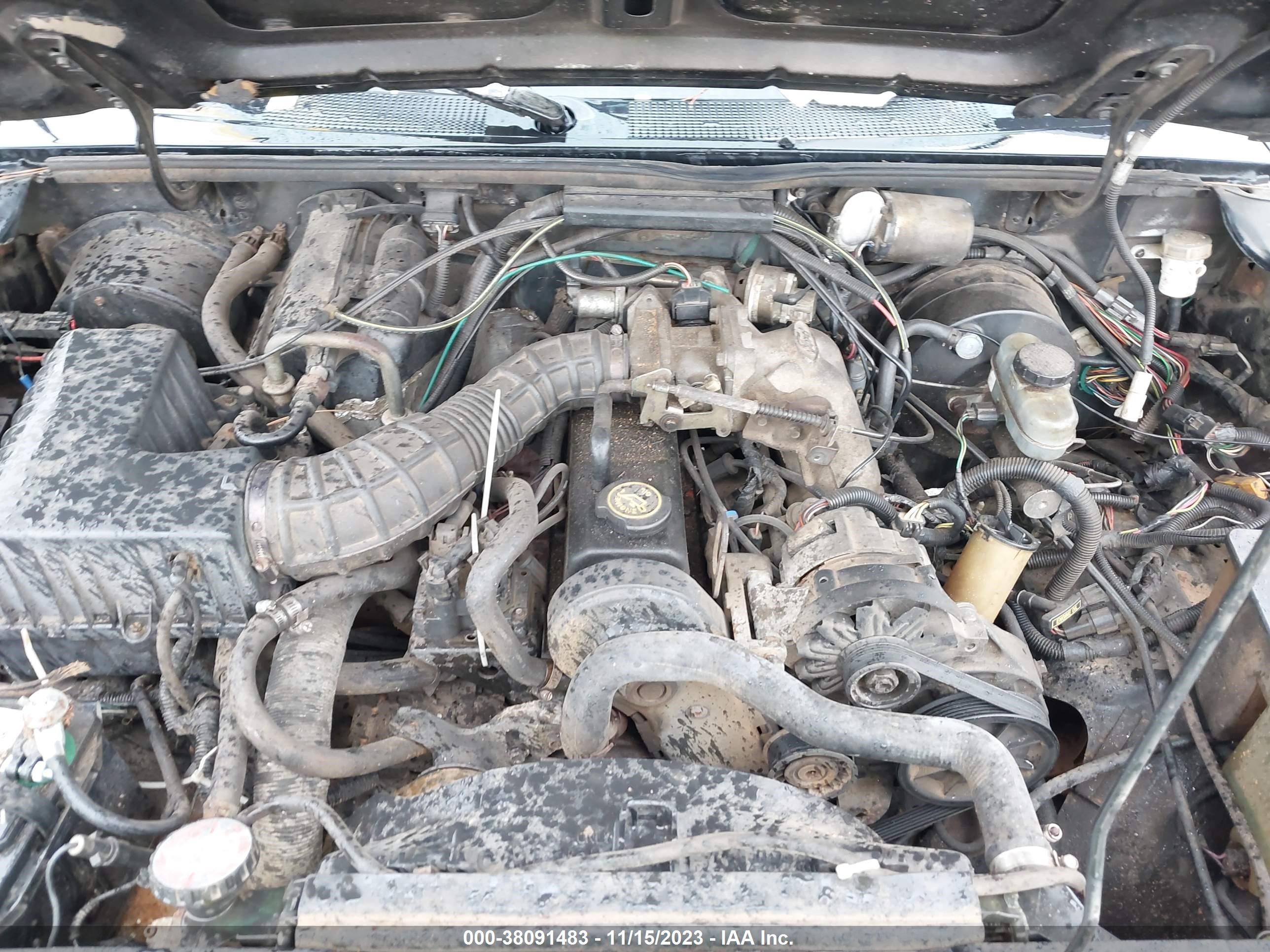 Photo 9 VIN: KMHD74LF0HU421253 - FORD RANGER 