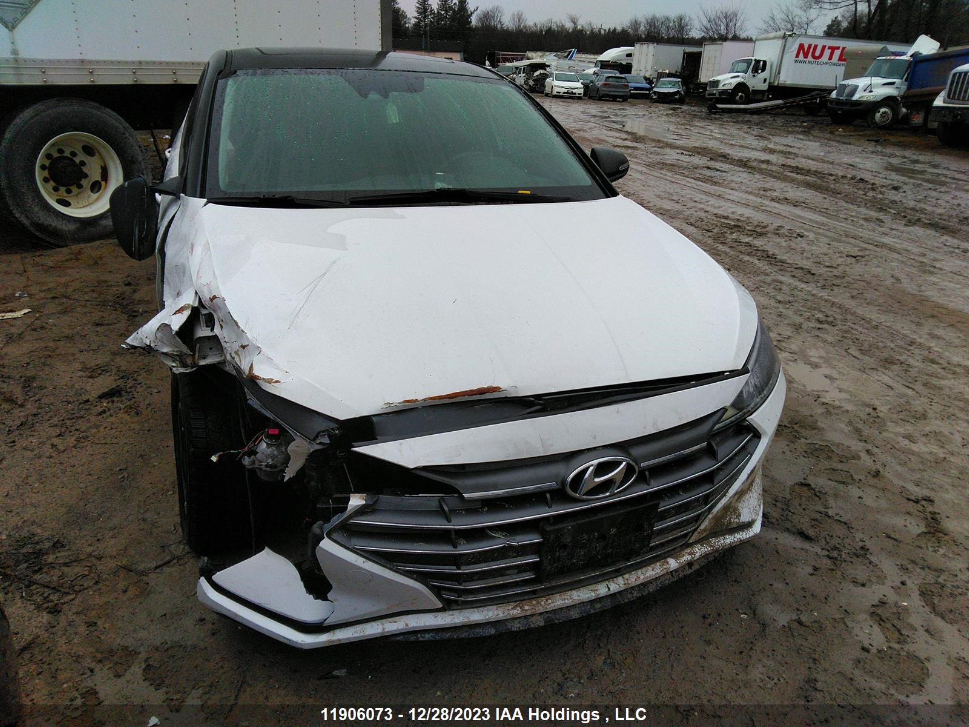 Photo 5 VIN: KMHD84LF0KU805957 - HYUNDAI ELANTRA 