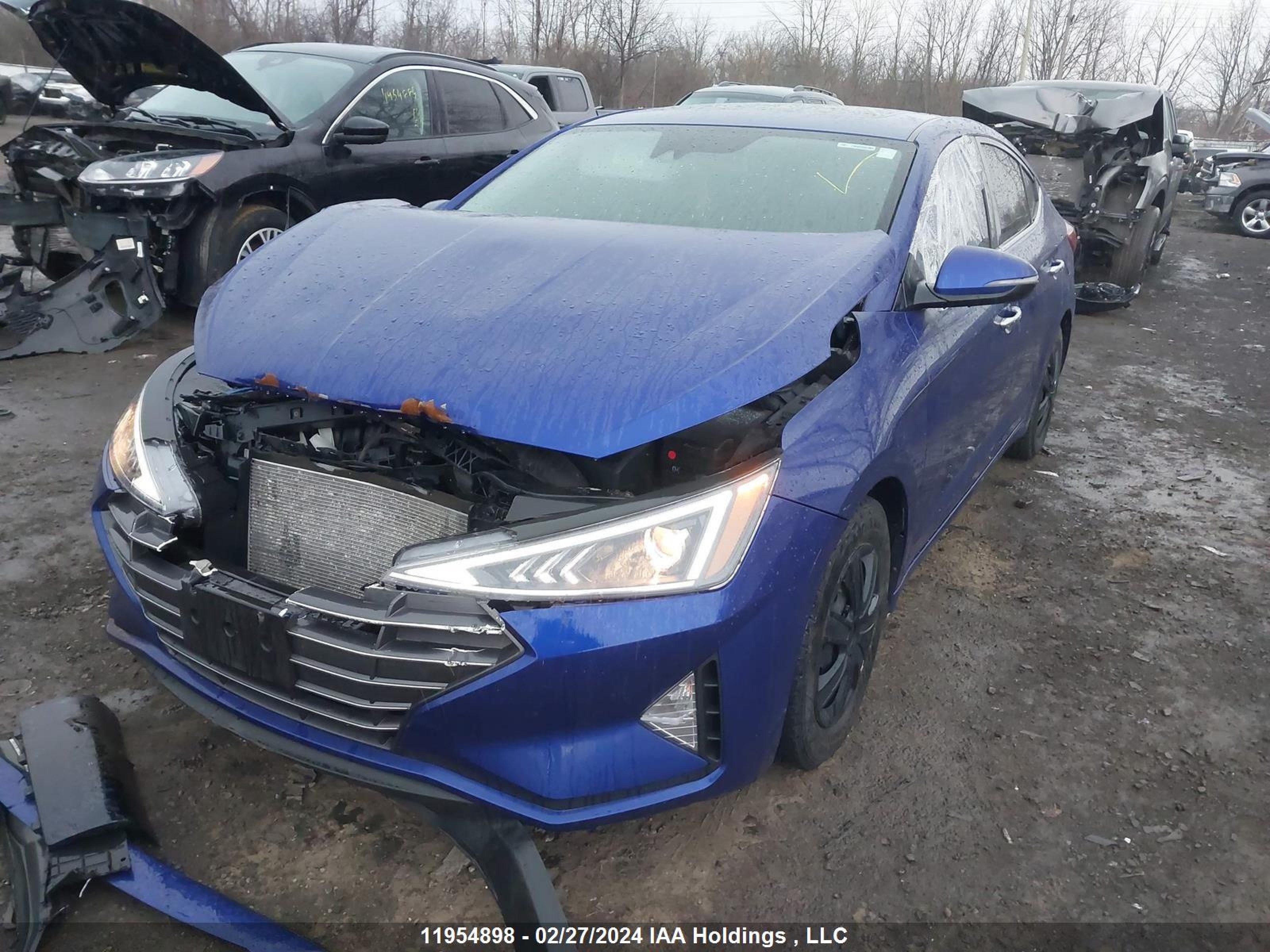 Photo 1 VIN: KMHD84LF3KU771576 - HYUNDAI ELANTRA 