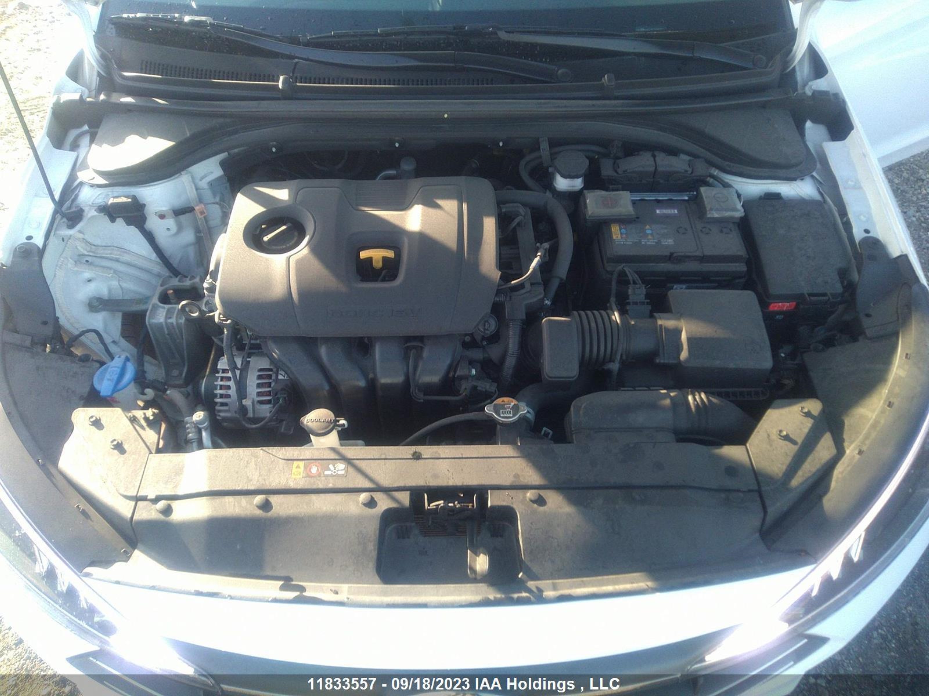 Photo 9 VIN: KMHD84LF4LU108020 - HYUNDAI ELANTRA 