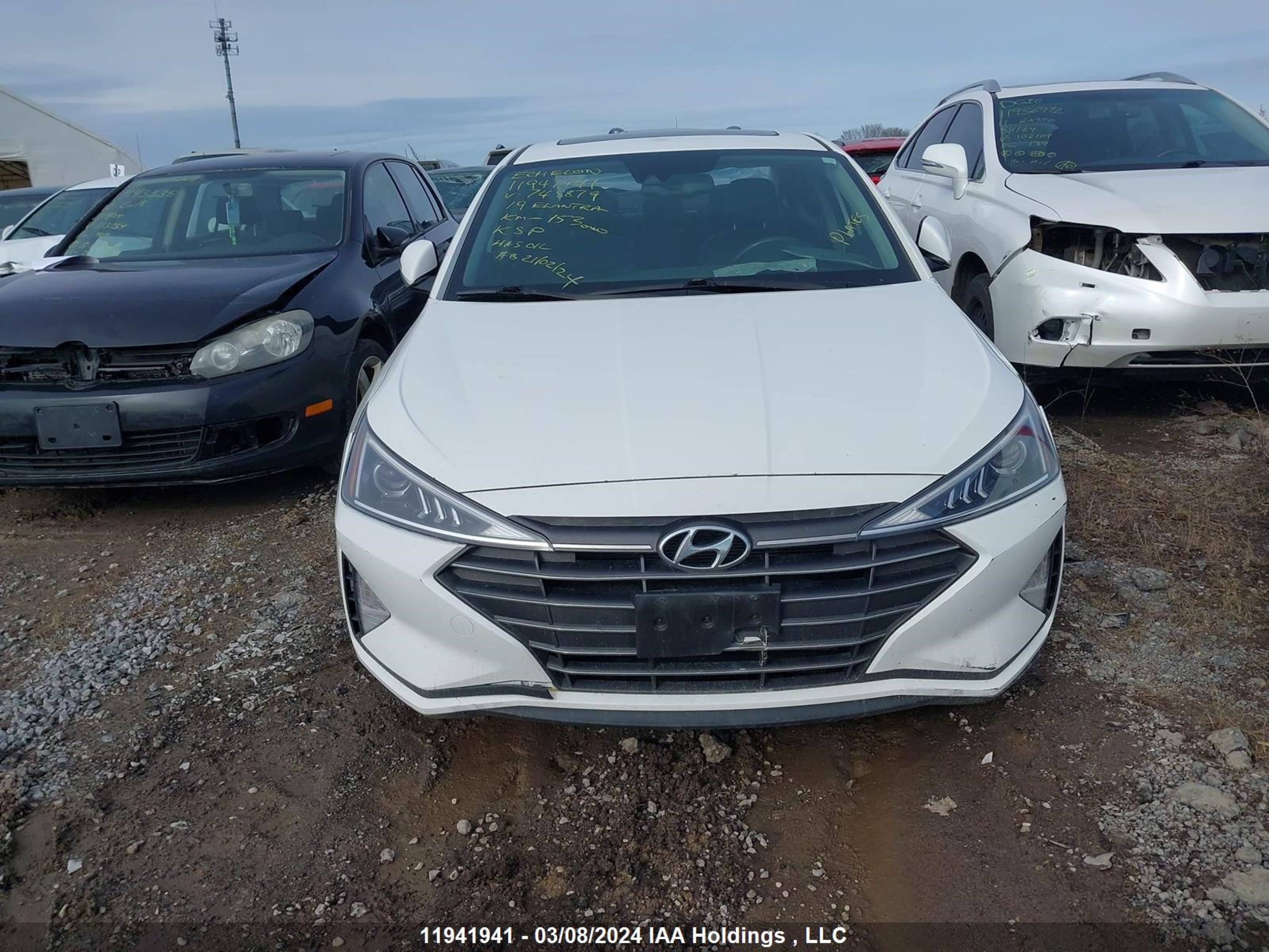 Photo 12 VIN: KMHD84LF5KU748879 - HYUNDAI ELANTRA 