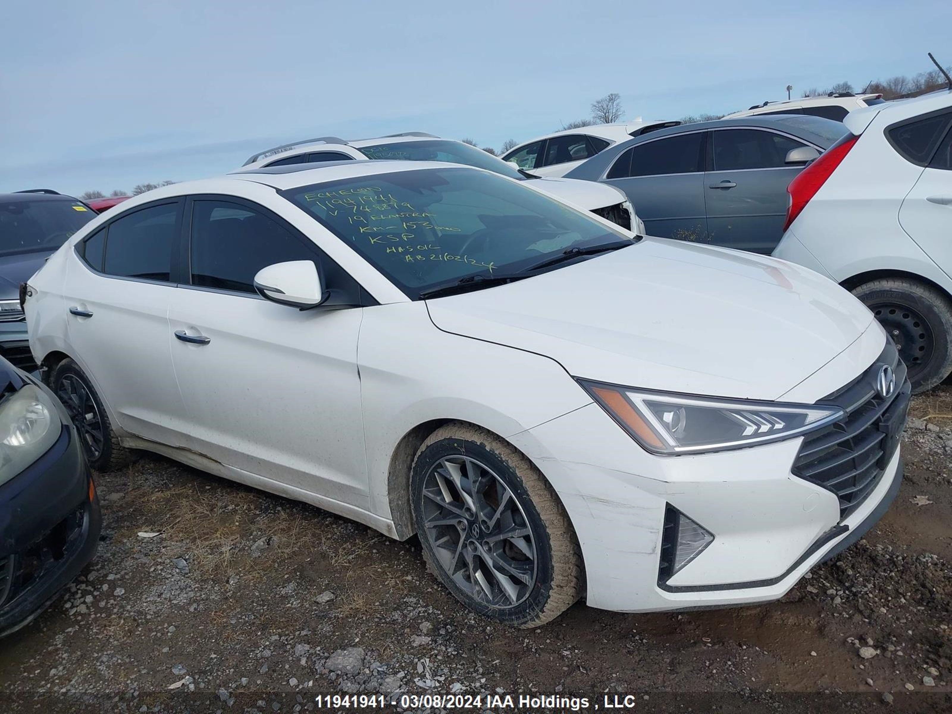 Photo 13 VIN: KMHD84LF5KU748879 - HYUNDAI ELANTRA 