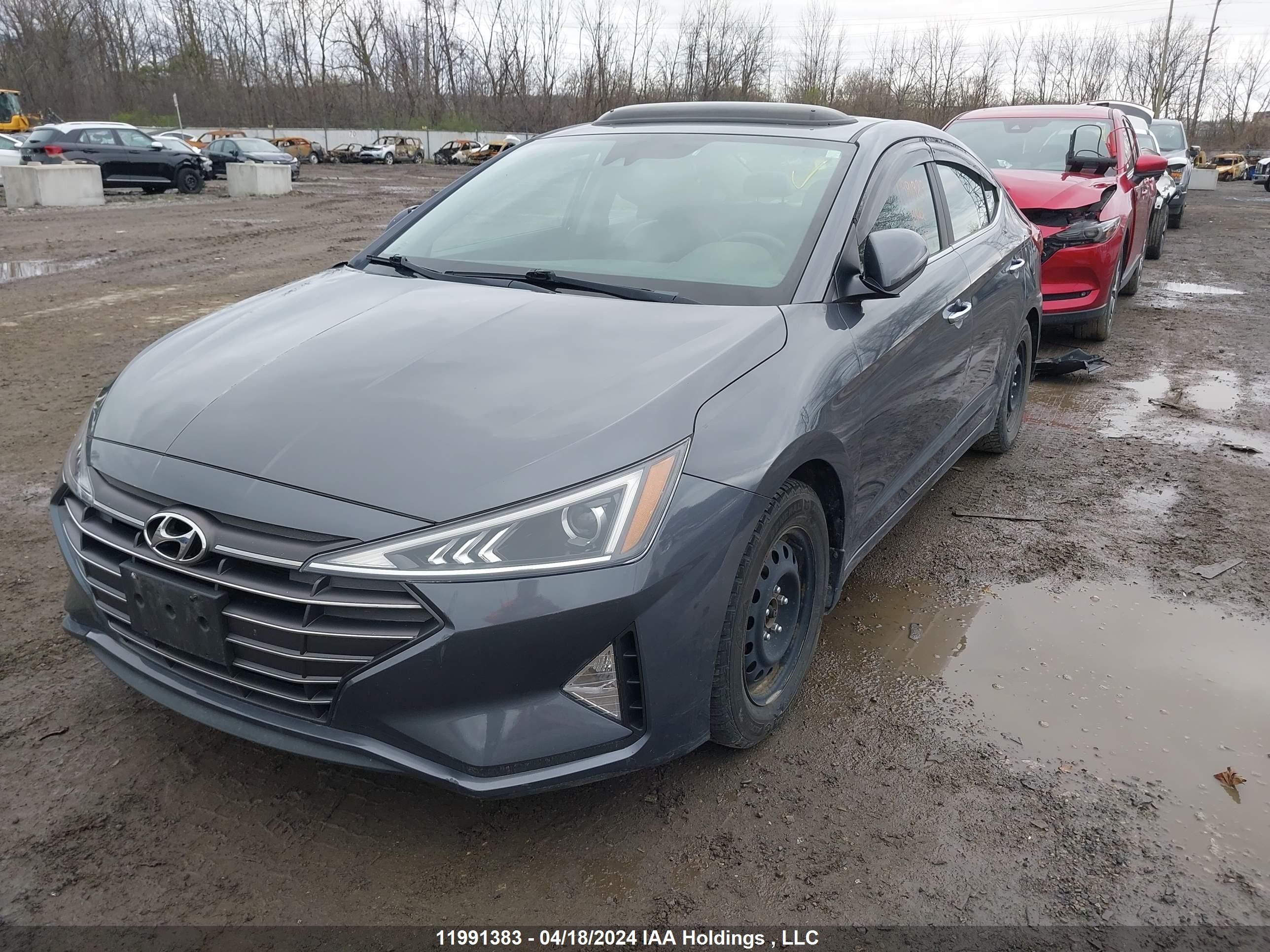 Photo 1 VIN: KMHD84LF5KU772146 - HYUNDAI ELANTRA 