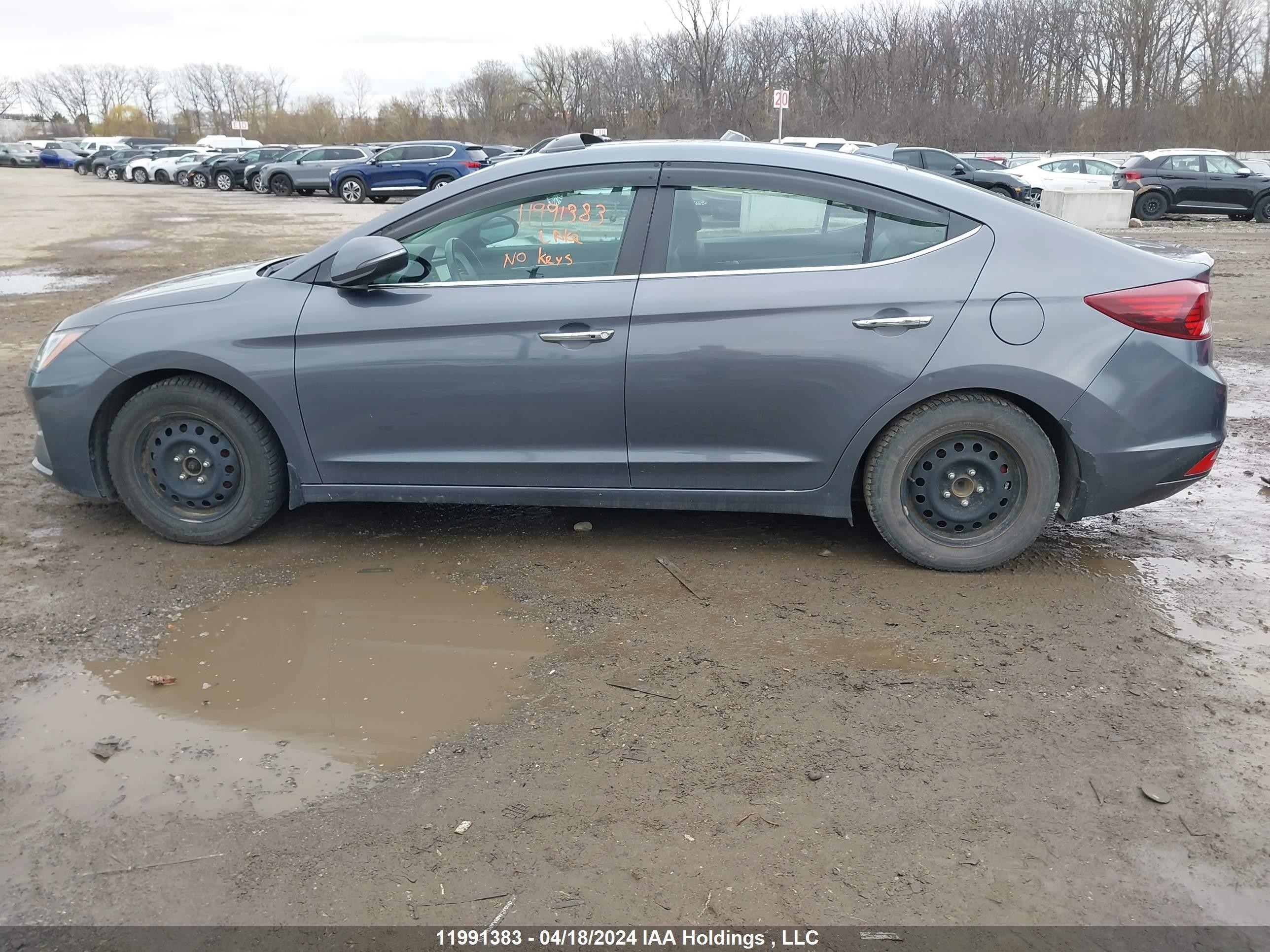 Photo 12 VIN: KMHD84LF5KU772146 - HYUNDAI ELANTRA 