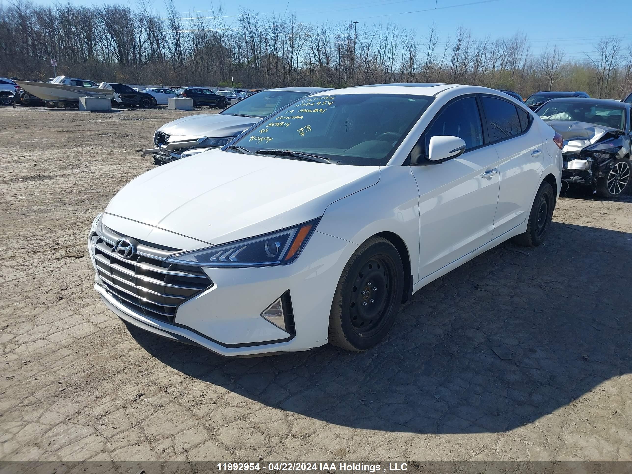 Photo 1 VIN: KMHD84LF5KU839814 - HYUNDAI ELANTRA 