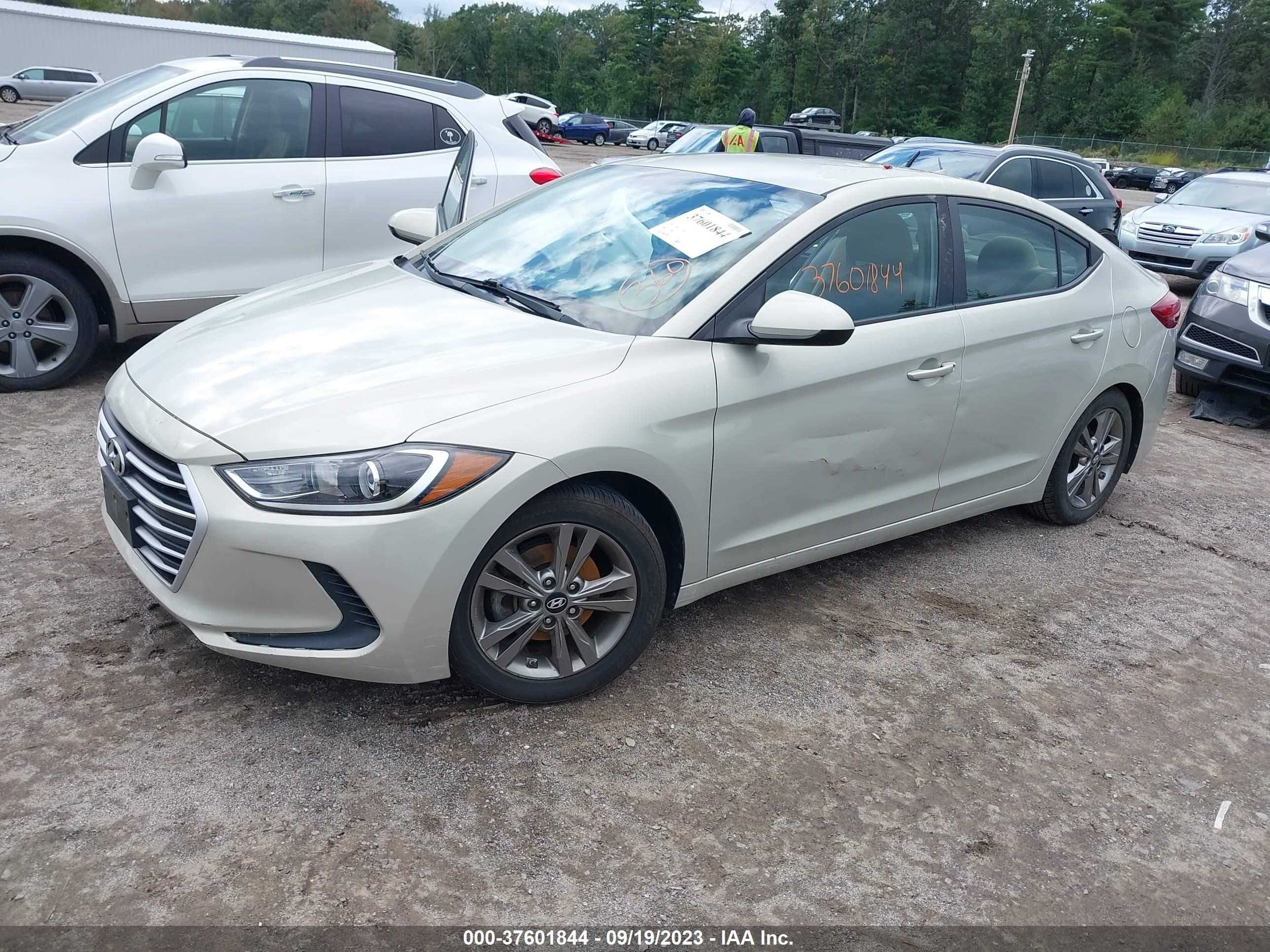 Photo 1 VIN: KMHD84LF7HU227509 - HYUNDAI ELANTRA 