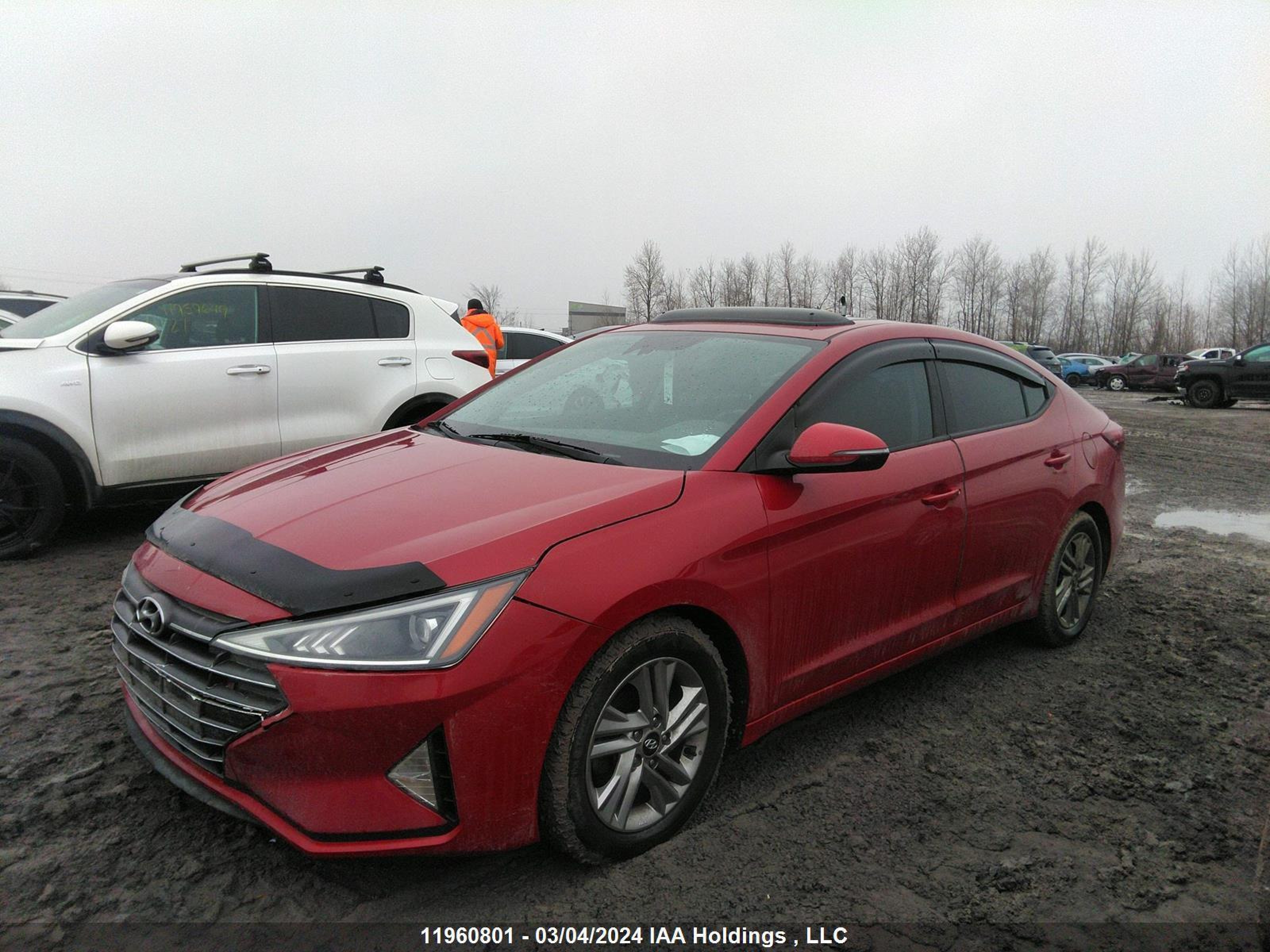 Photo 1 VIN: KMHD84LF7LU906205 - HYUNDAI ELANTRA 