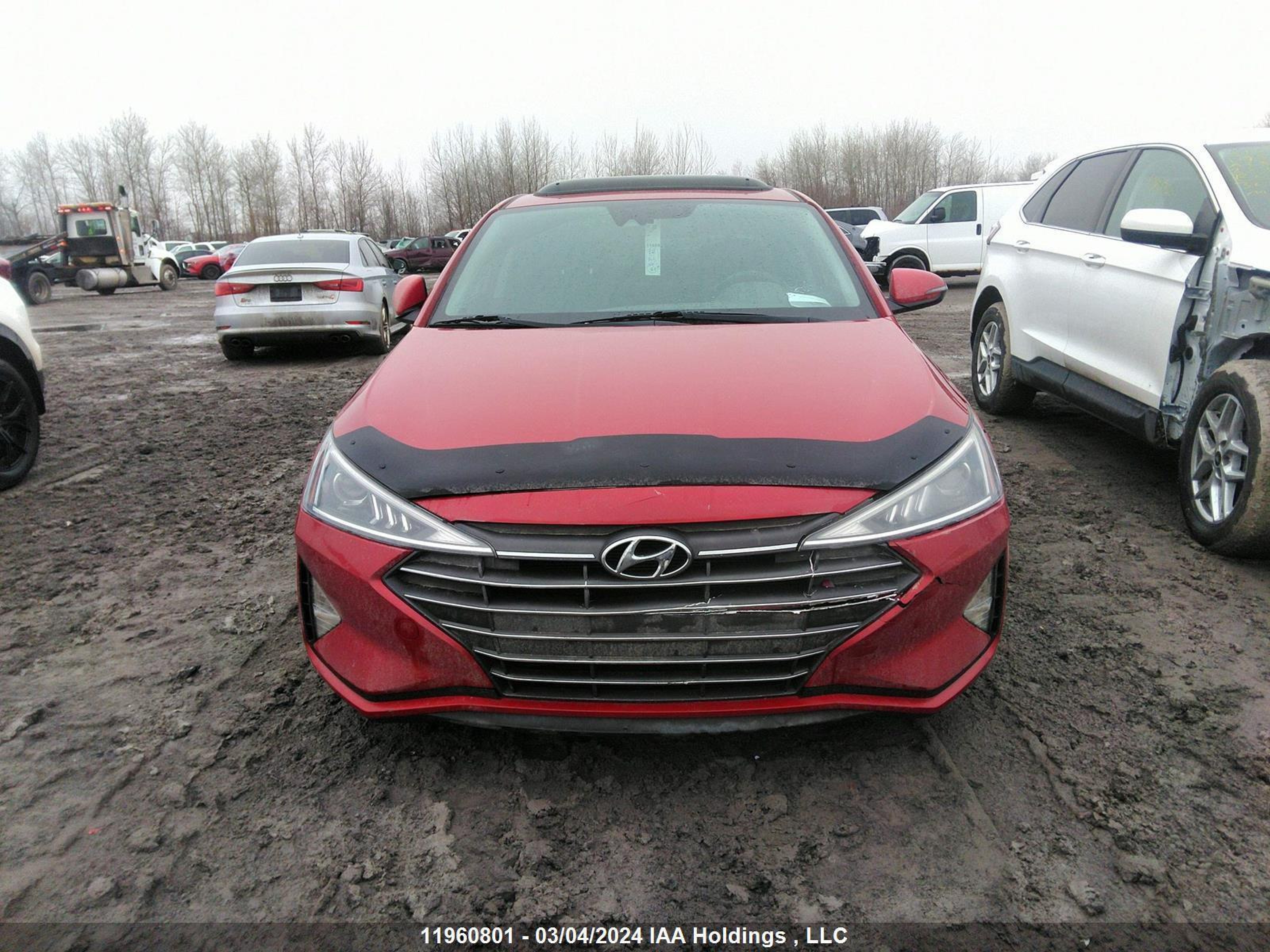 Photo 10 VIN: KMHD84LF7LU906205 - HYUNDAI ELANTRA 