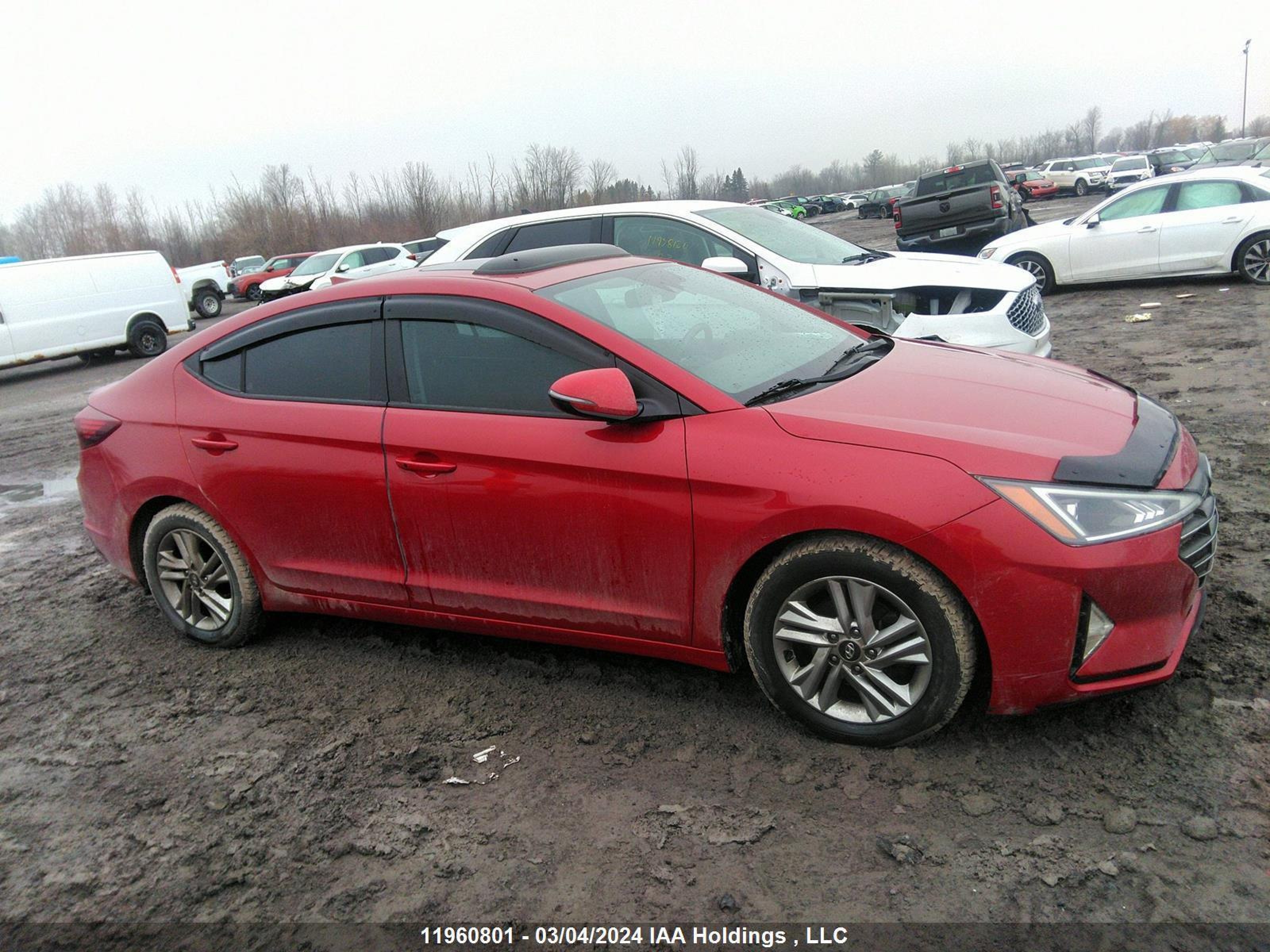 Photo 11 VIN: KMHD84LF7LU906205 - HYUNDAI ELANTRA 