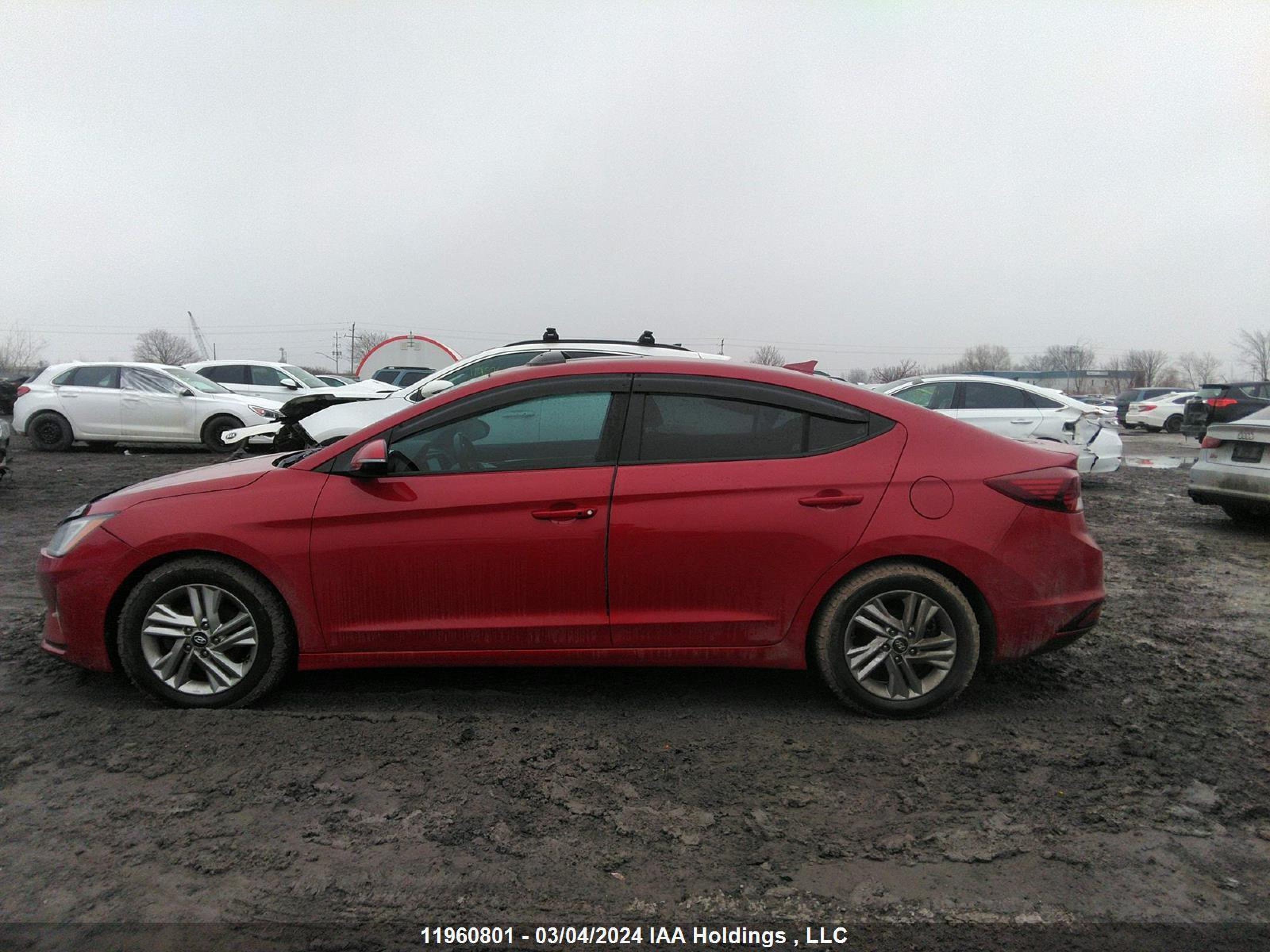 Photo 12 VIN: KMHD84LF7LU906205 - HYUNDAI ELANTRA 