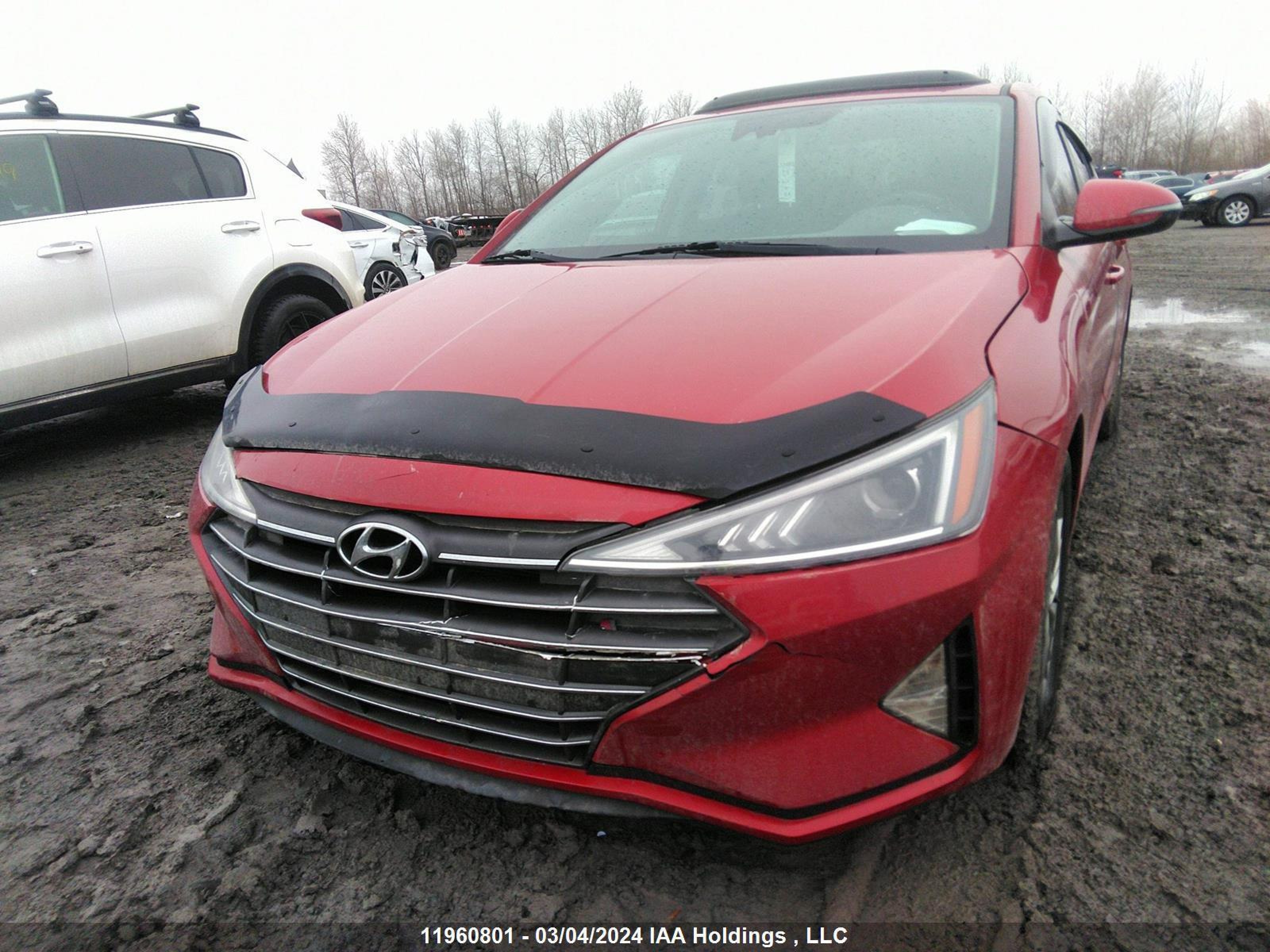 Photo 5 VIN: KMHD84LF7LU906205 - HYUNDAI ELANTRA 