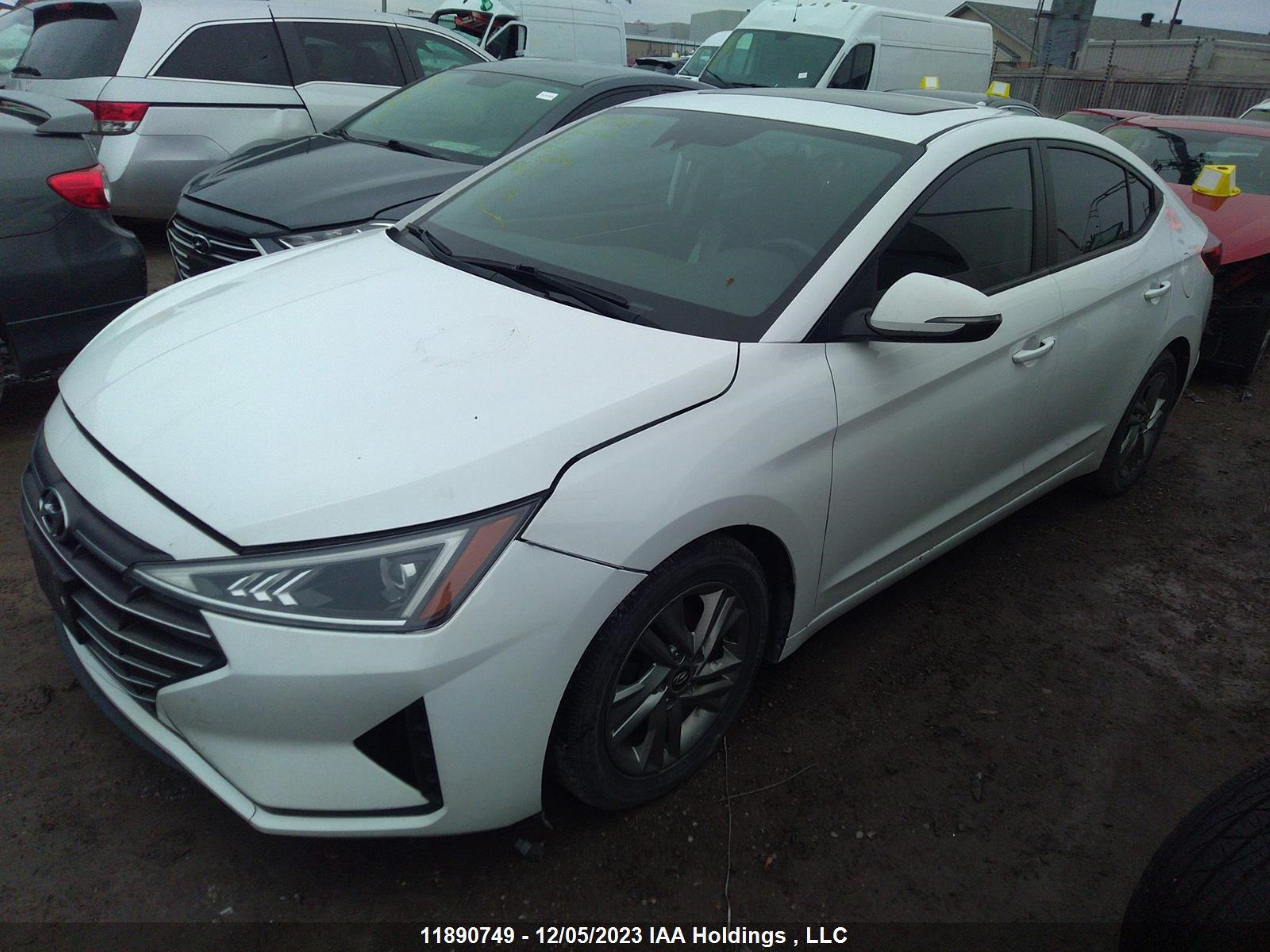 Photo 1 VIN: KMHD84LF8KU878039 - HYUNDAI ELANTRA 