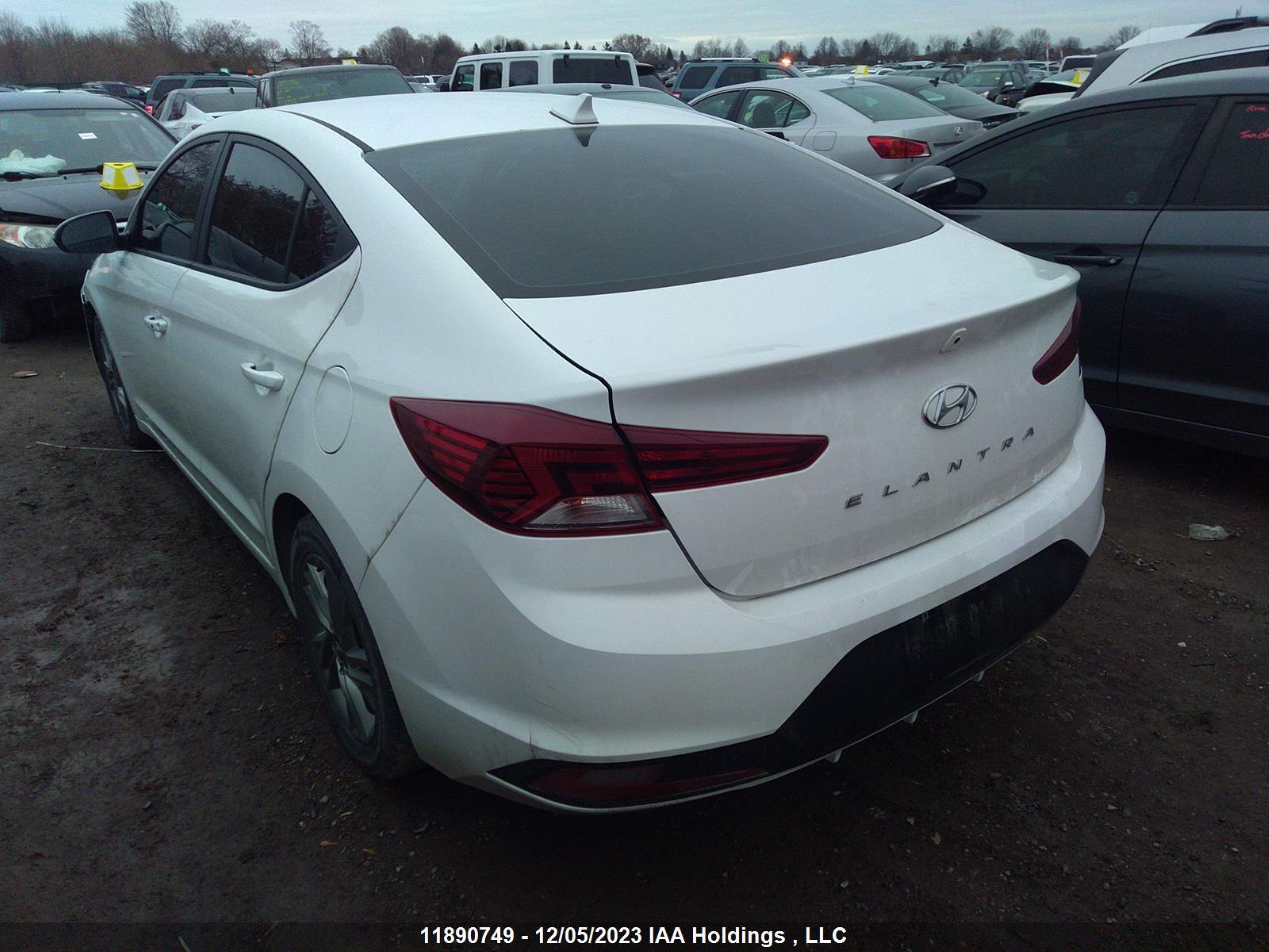 Photo 2 VIN: KMHD84LF8KU878039 - HYUNDAI ELANTRA 