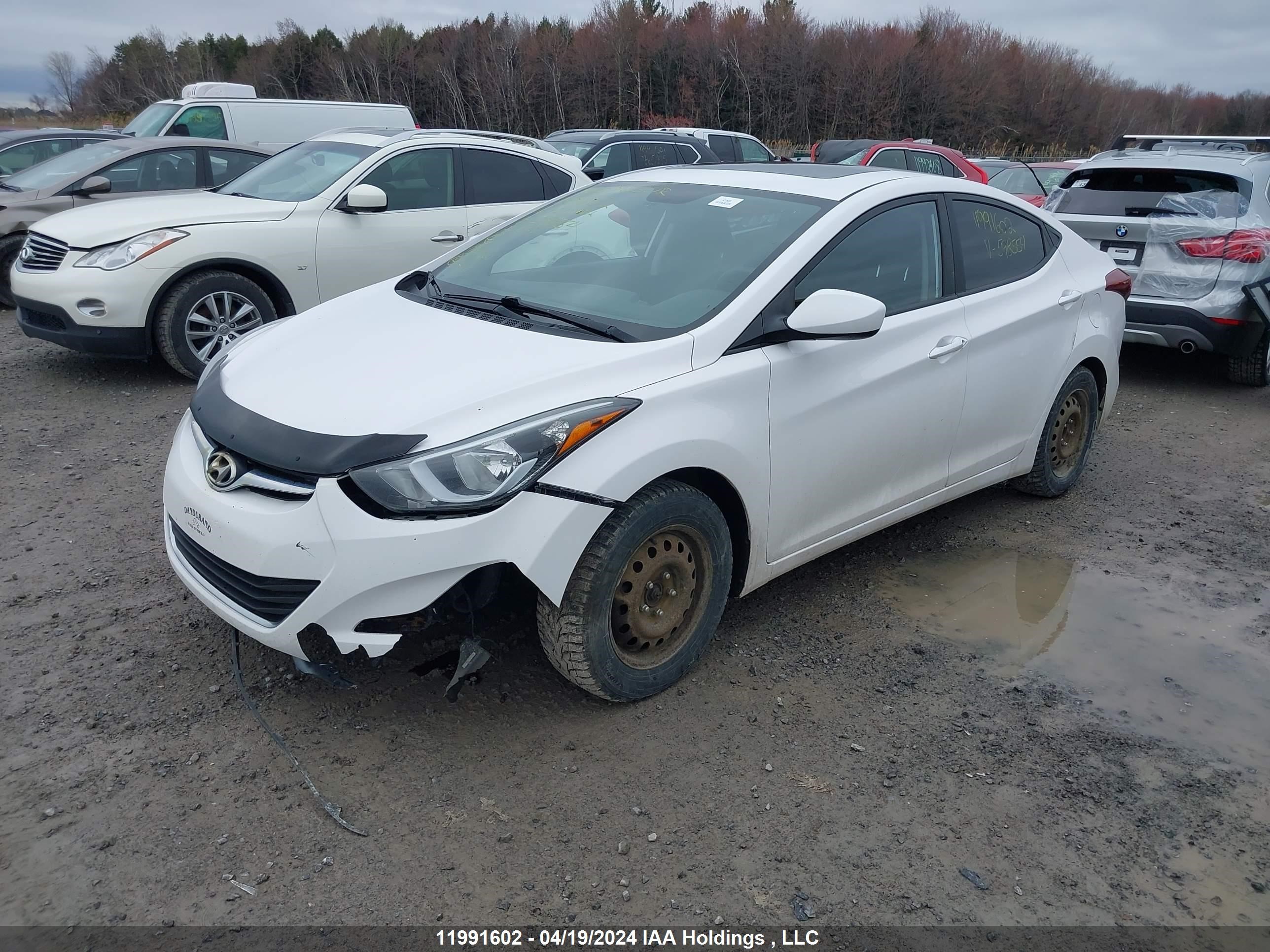 Photo 1 VIN: KMHDH4AE2GU598554 - HYUNDAI ELANTRA 