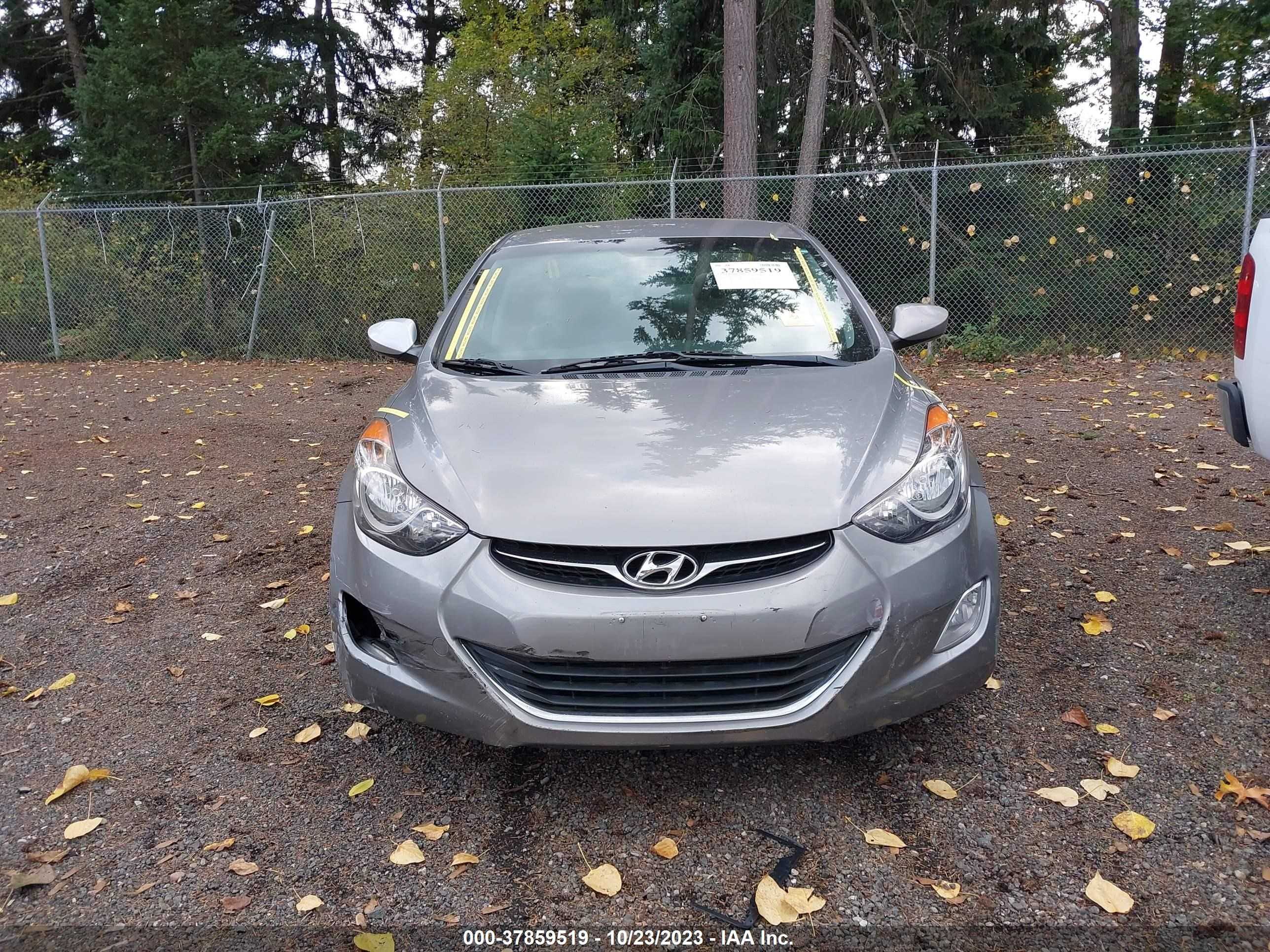 Photo 10 VIN: KMHDH4AE3DU564408 - HYUNDAI ELANTRA 