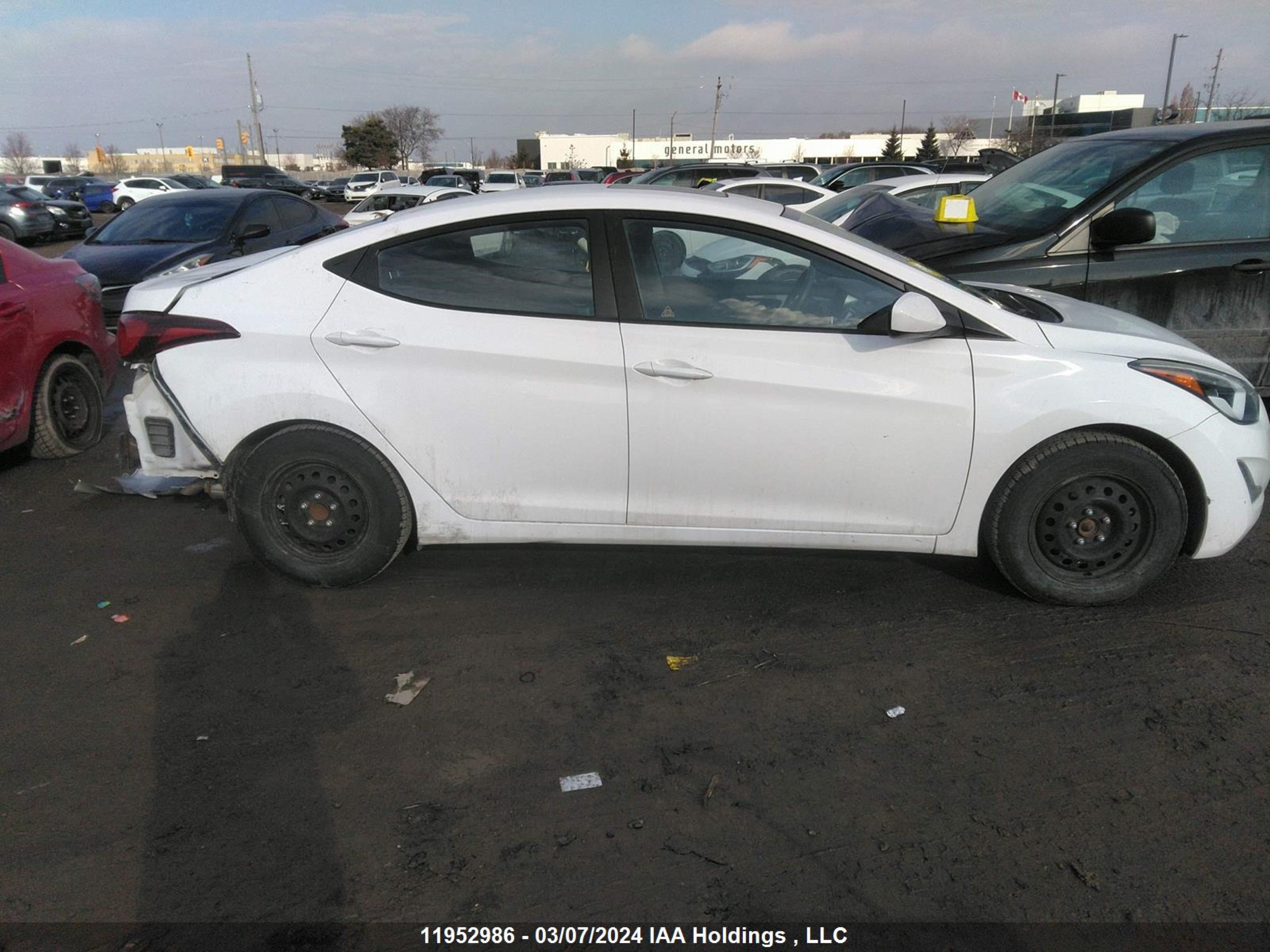 Photo 13 VIN: KMHDH4AE5GU591615 - HYUNDAI ELANTRA 