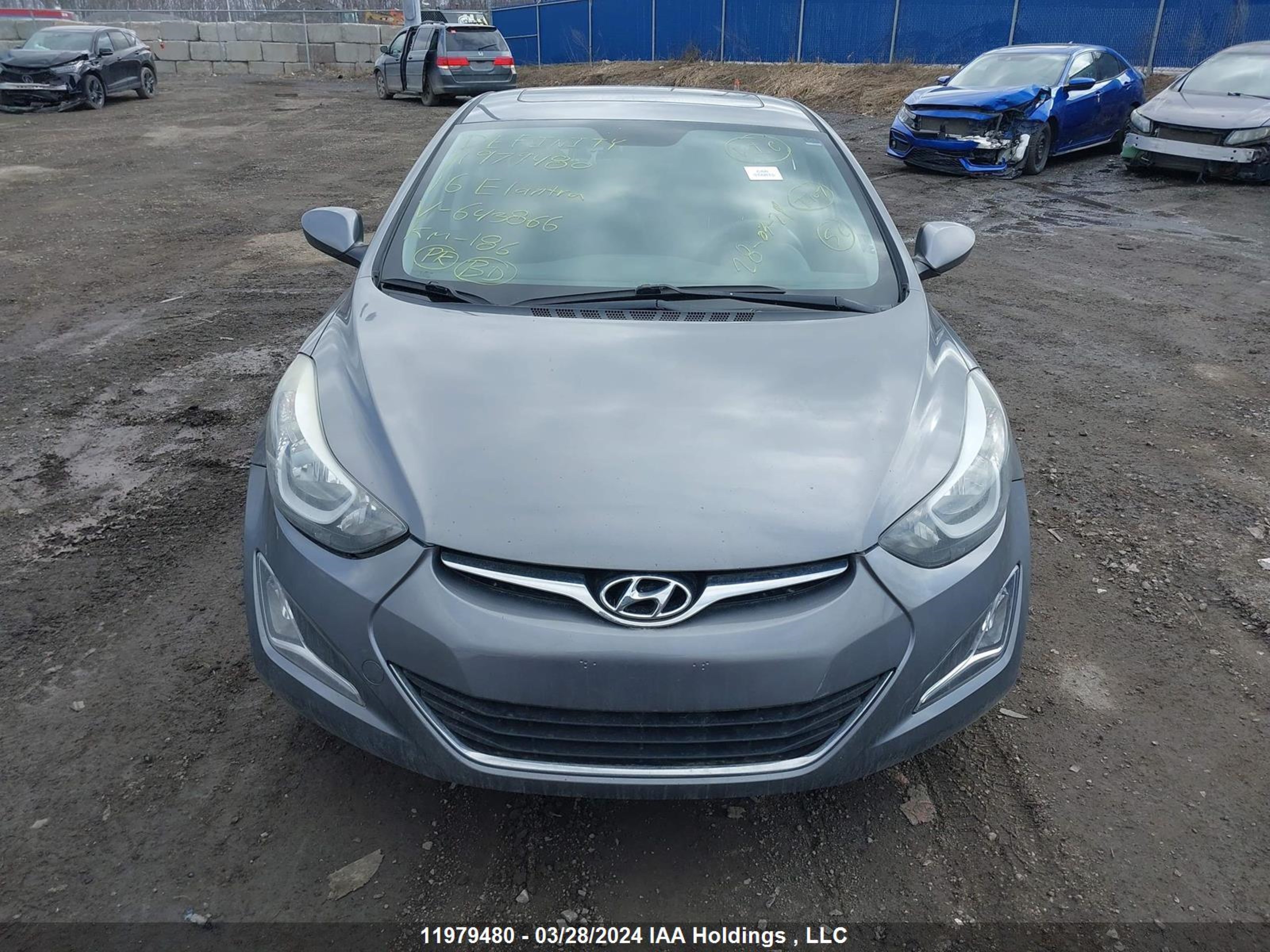 Photo 12 VIN: KMHDH4AE6GU643866 - HYUNDAI ELANTRA 