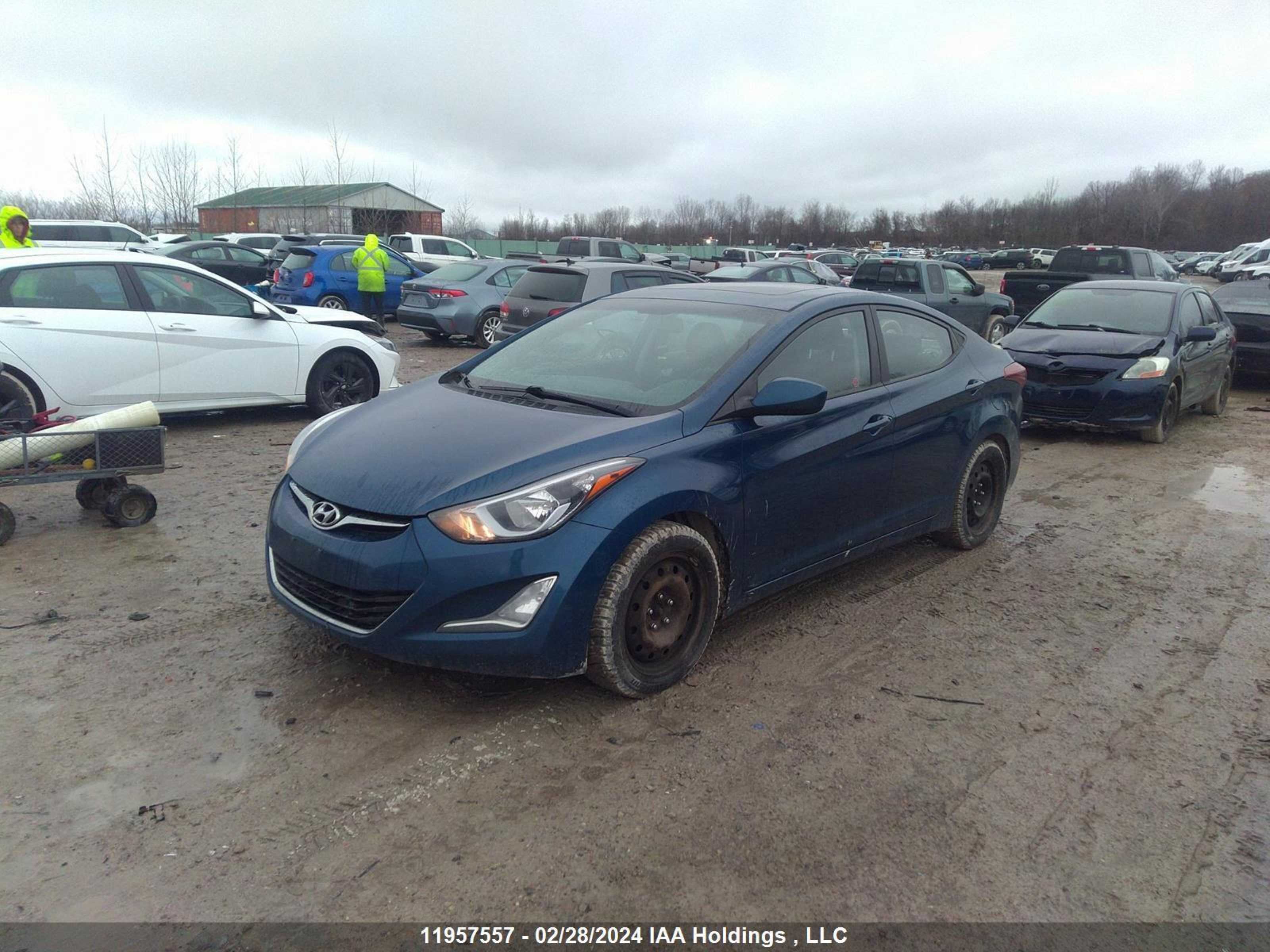 Photo 1 VIN: KMHDH4AE7GU550256 - HYUNDAI ELANTRA 