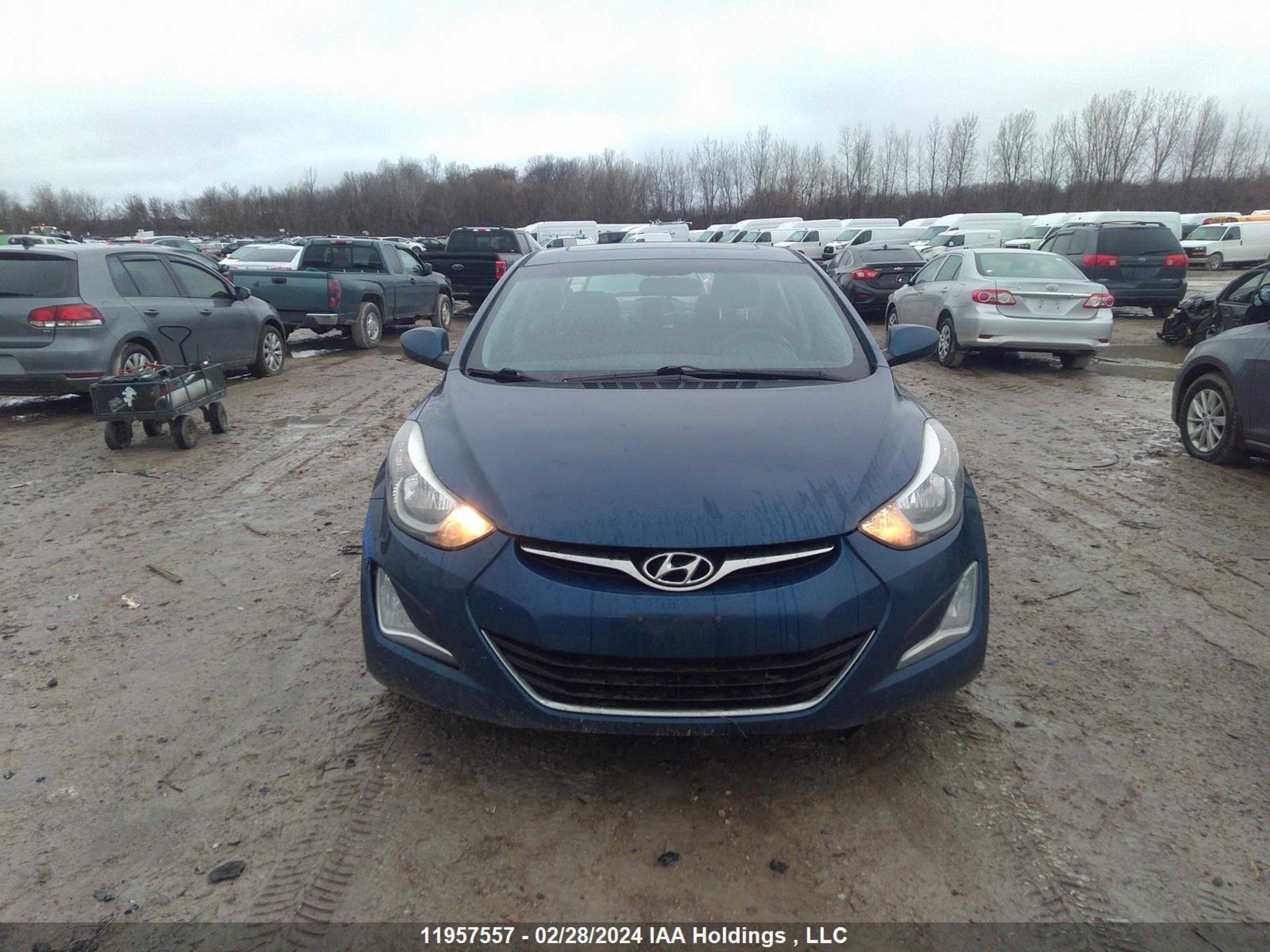 Photo 11 VIN: KMHDH4AE7GU550256 - HYUNDAI ELANTRA 