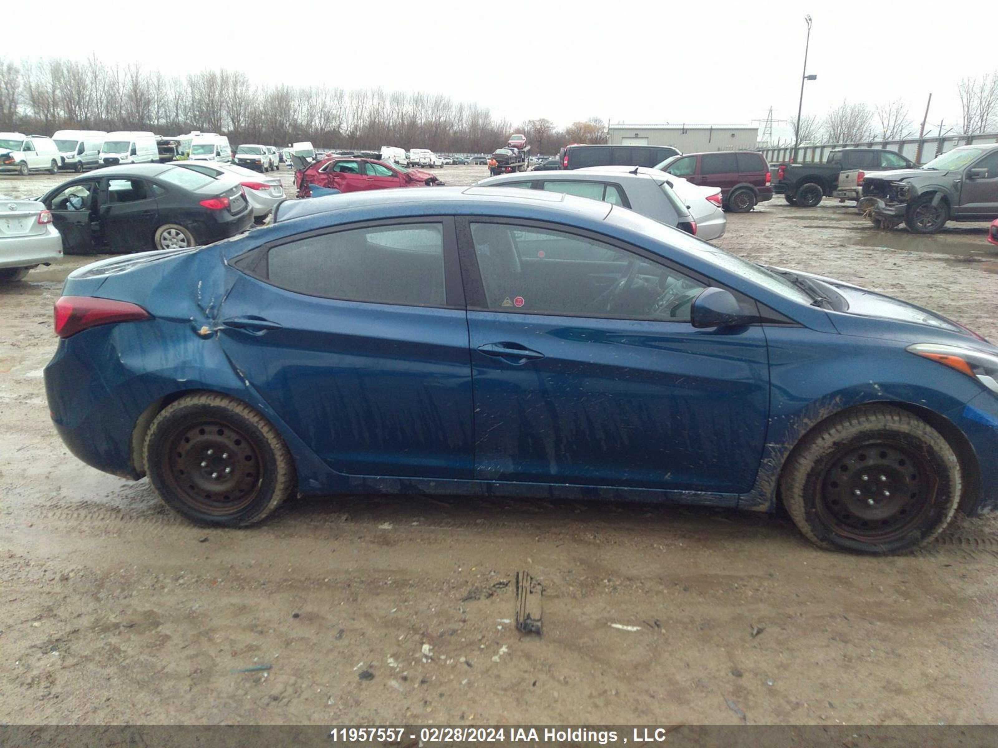 Photo 12 VIN: KMHDH4AE7GU550256 - HYUNDAI ELANTRA 