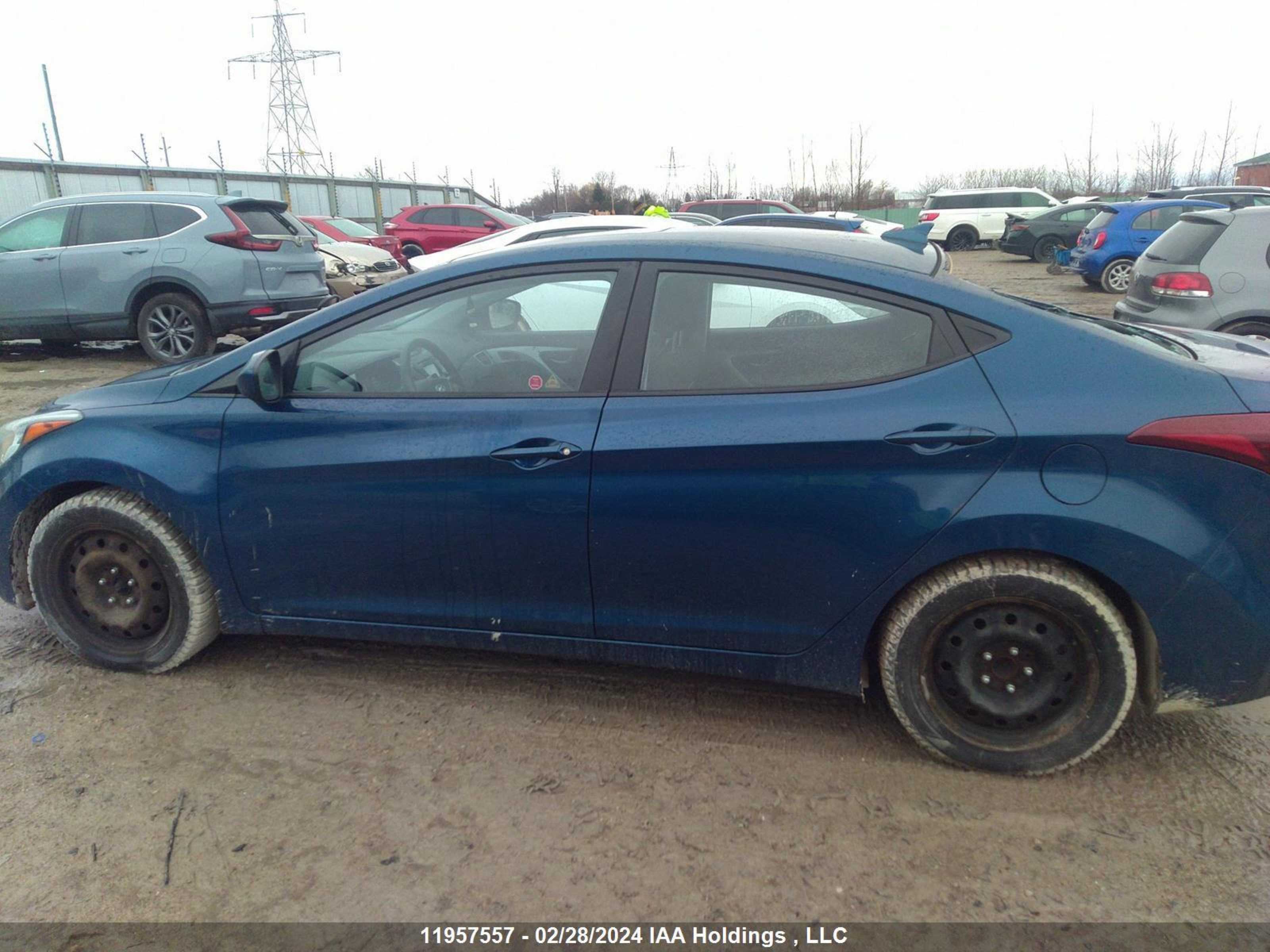 Photo 13 VIN: KMHDH4AE7GU550256 - HYUNDAI ELANTRA 