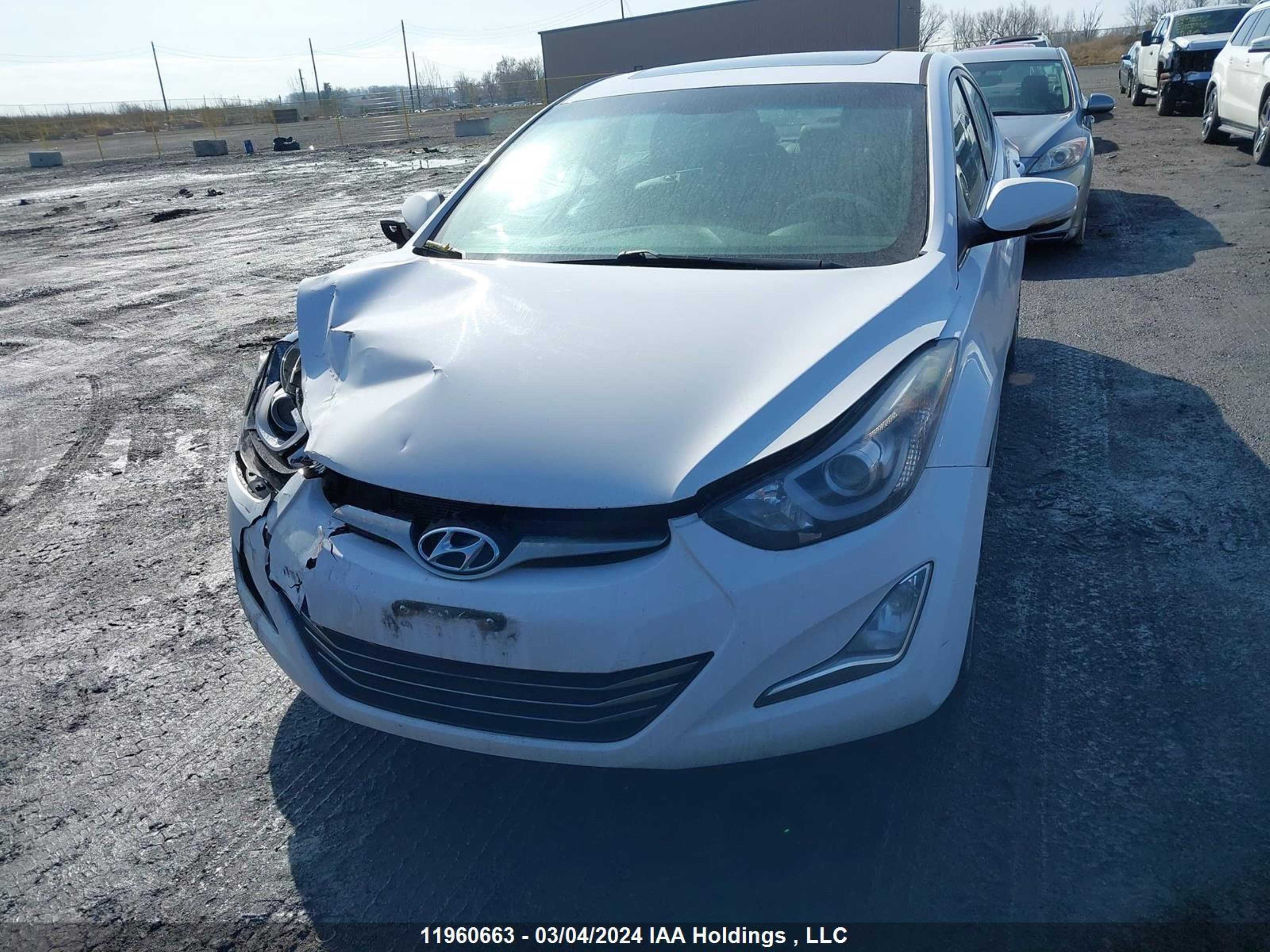 Photo 11 VIN: KMHDH4AH0EU216335 - HYUNDAI ELANTRA 