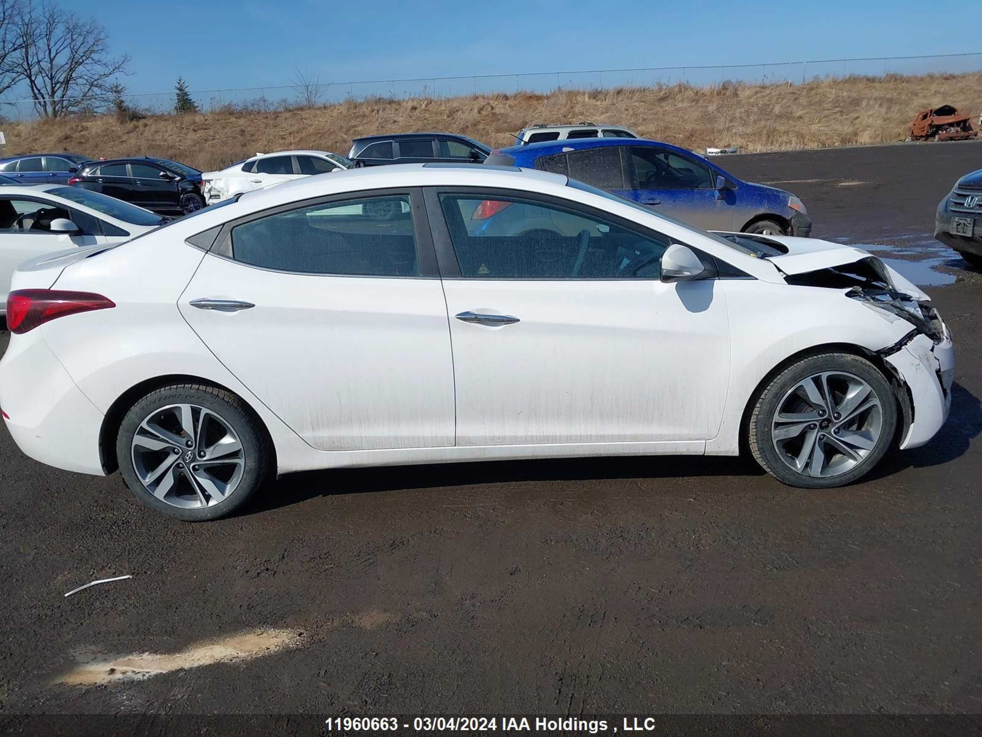 Photo 12 VIN: KMHDH4AH0EU216335 - HYUNDAI ELANTRA 