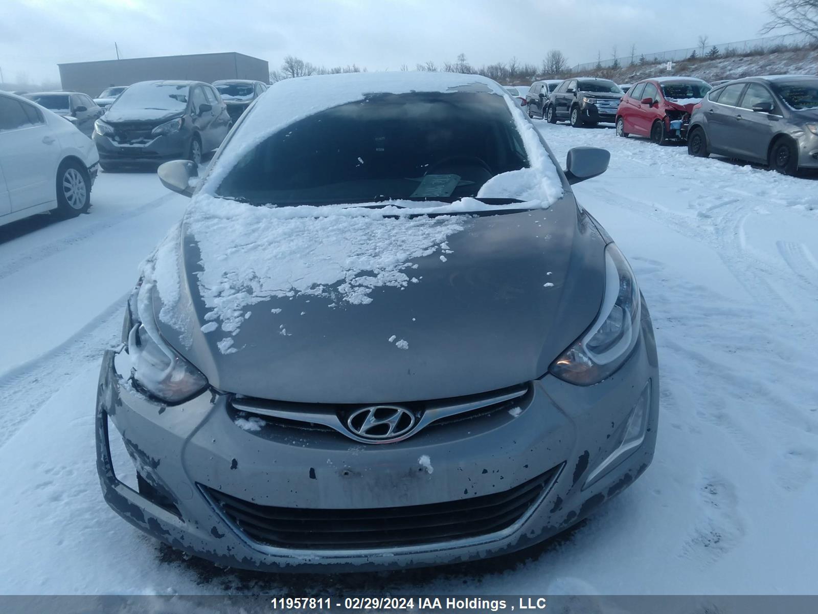 Photo 11 VIN: KMHDH4AH1FU409420 - HYUNDAI ELANTRA 