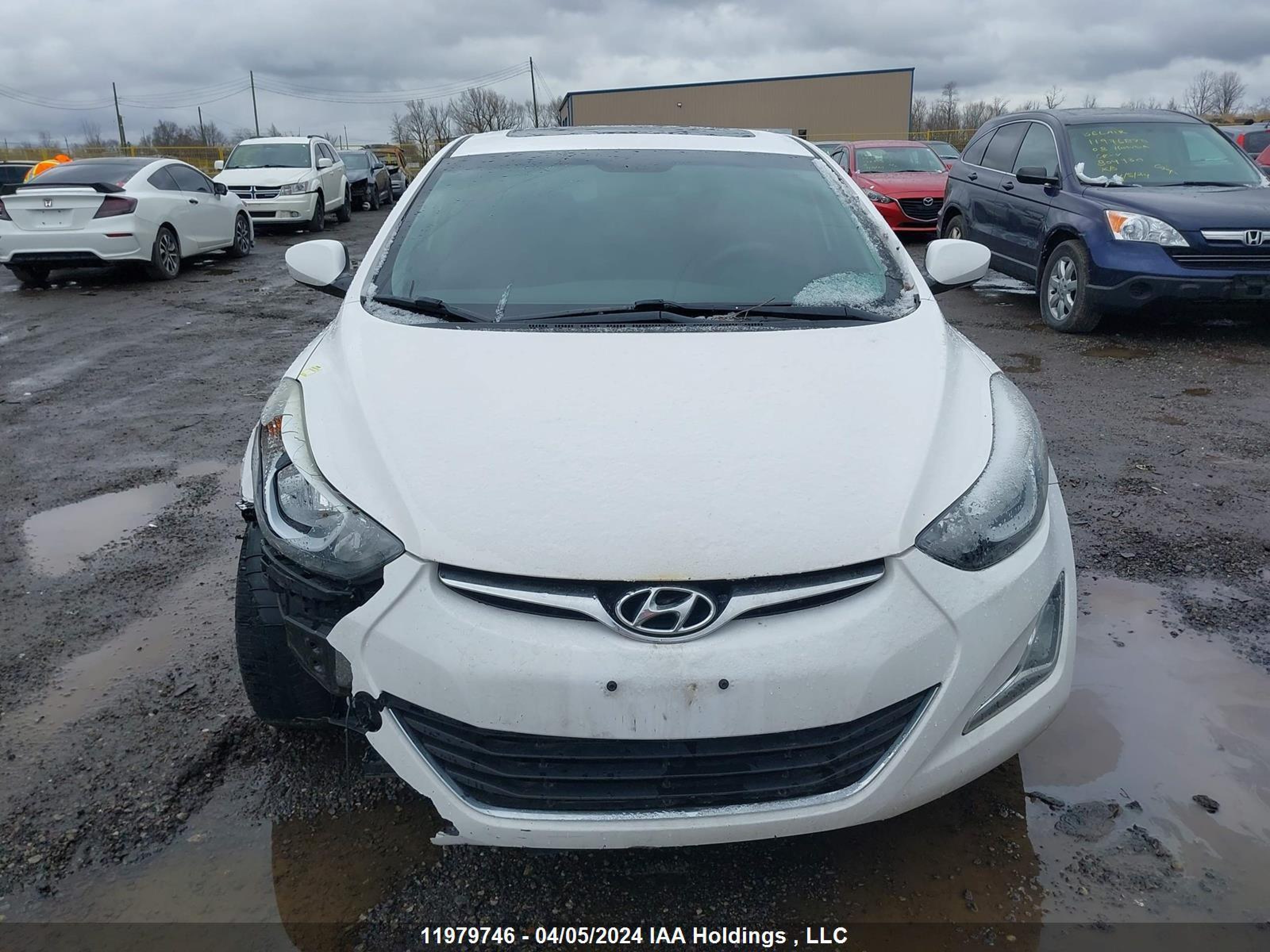 Photo 11 VIN: KMHDH4AH1GU549887 - HYUNDAI ELANTRA 