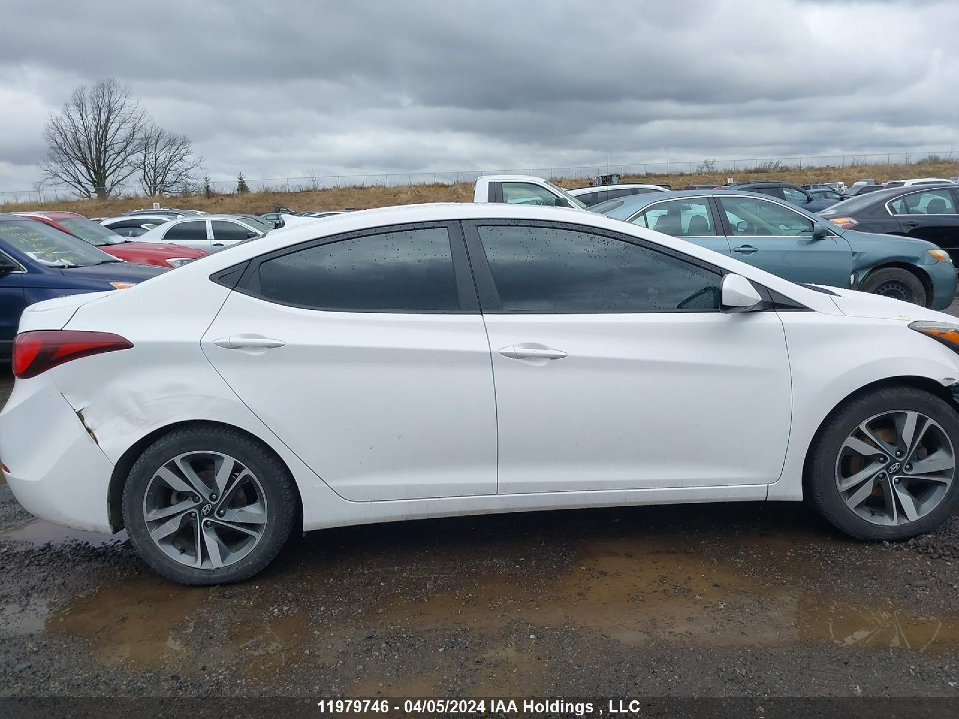 Photo 12 VIN: KMHDH4AH1GU549887 - HYUNDAI ELANTRA 