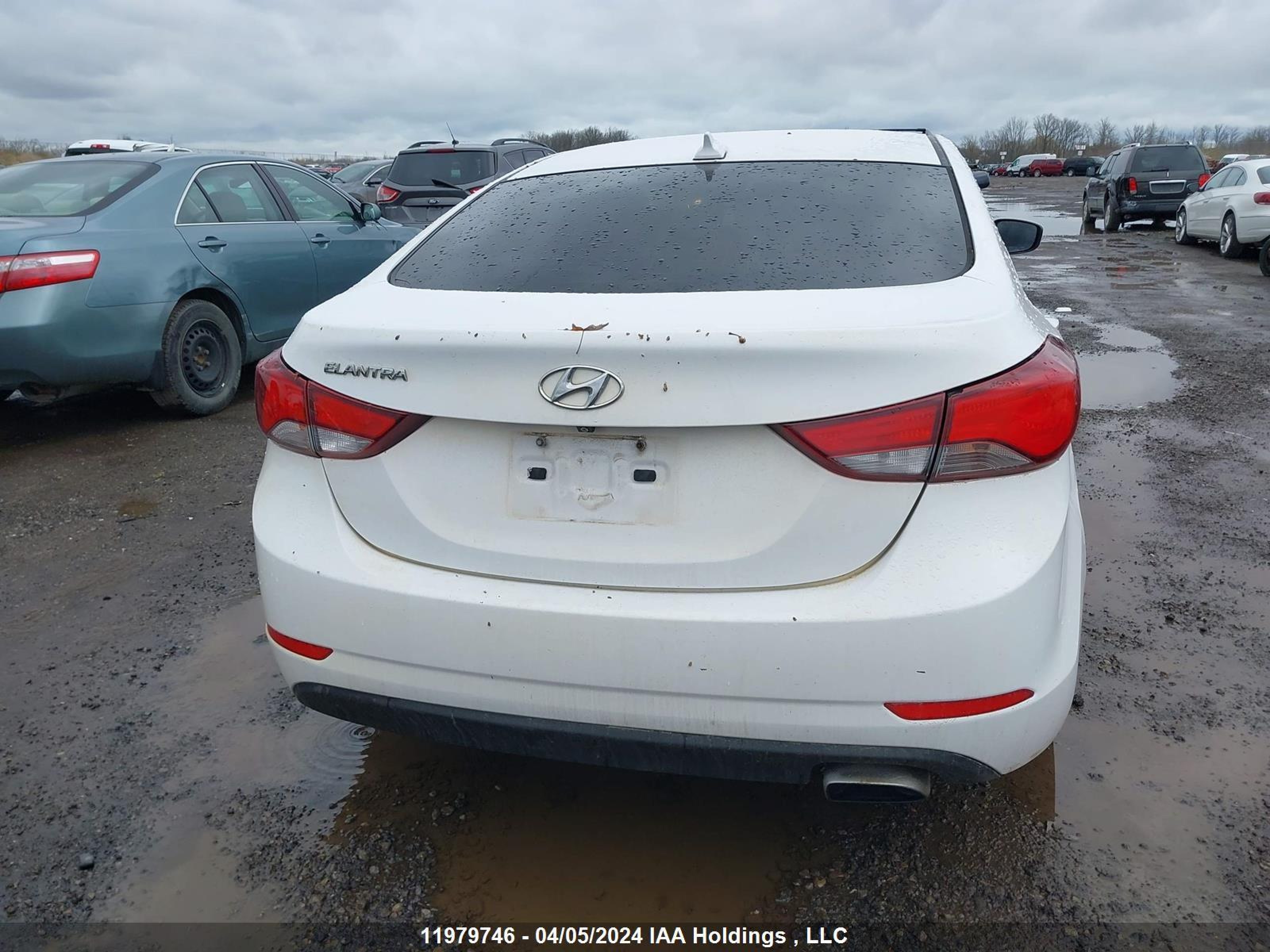 Photo 15 VIN: KMHDH4AH1GU549887 - HYUNDAI ELANTRA 