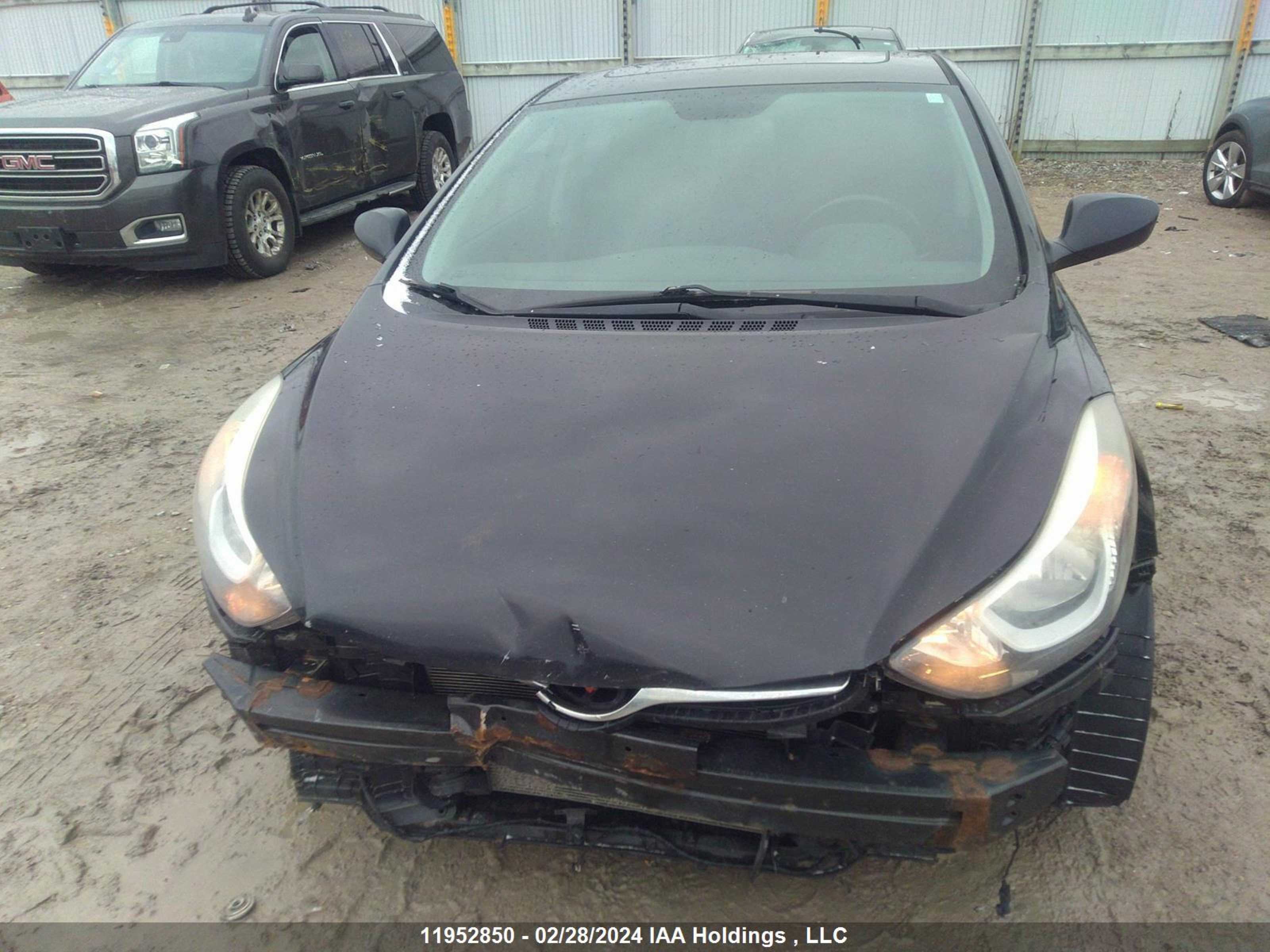 Photo 12 VIN: KMHDH4AH3FU383340 - HYUNDAI ELANTRA 