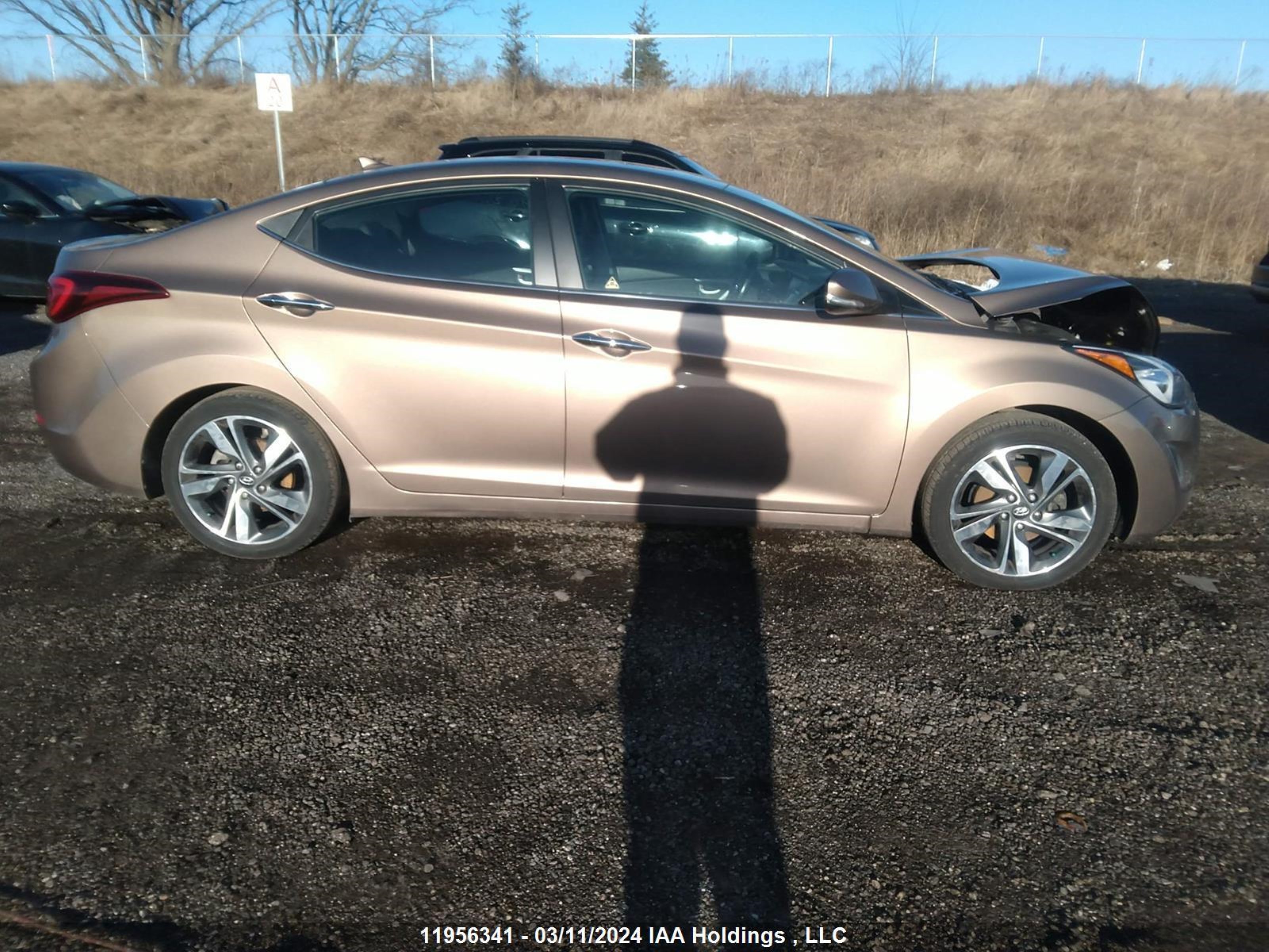 Photo 12 VIN: KMHDH4AH9EU187000 - HYUNDAI ELANTRA 