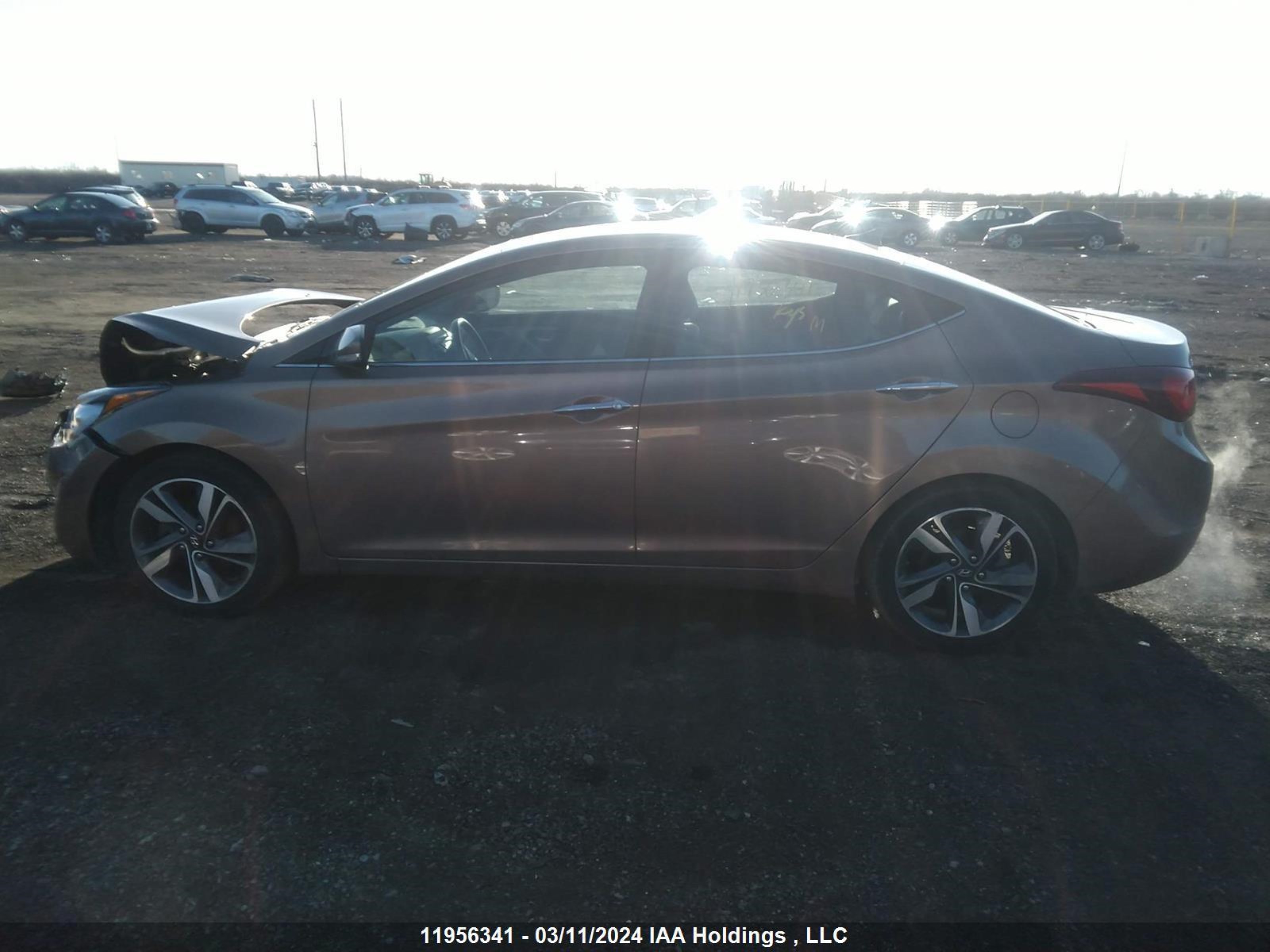 Photo 13 VIN: KMHDH4AH9EU187000 - HYUNDAI ELANTRA 