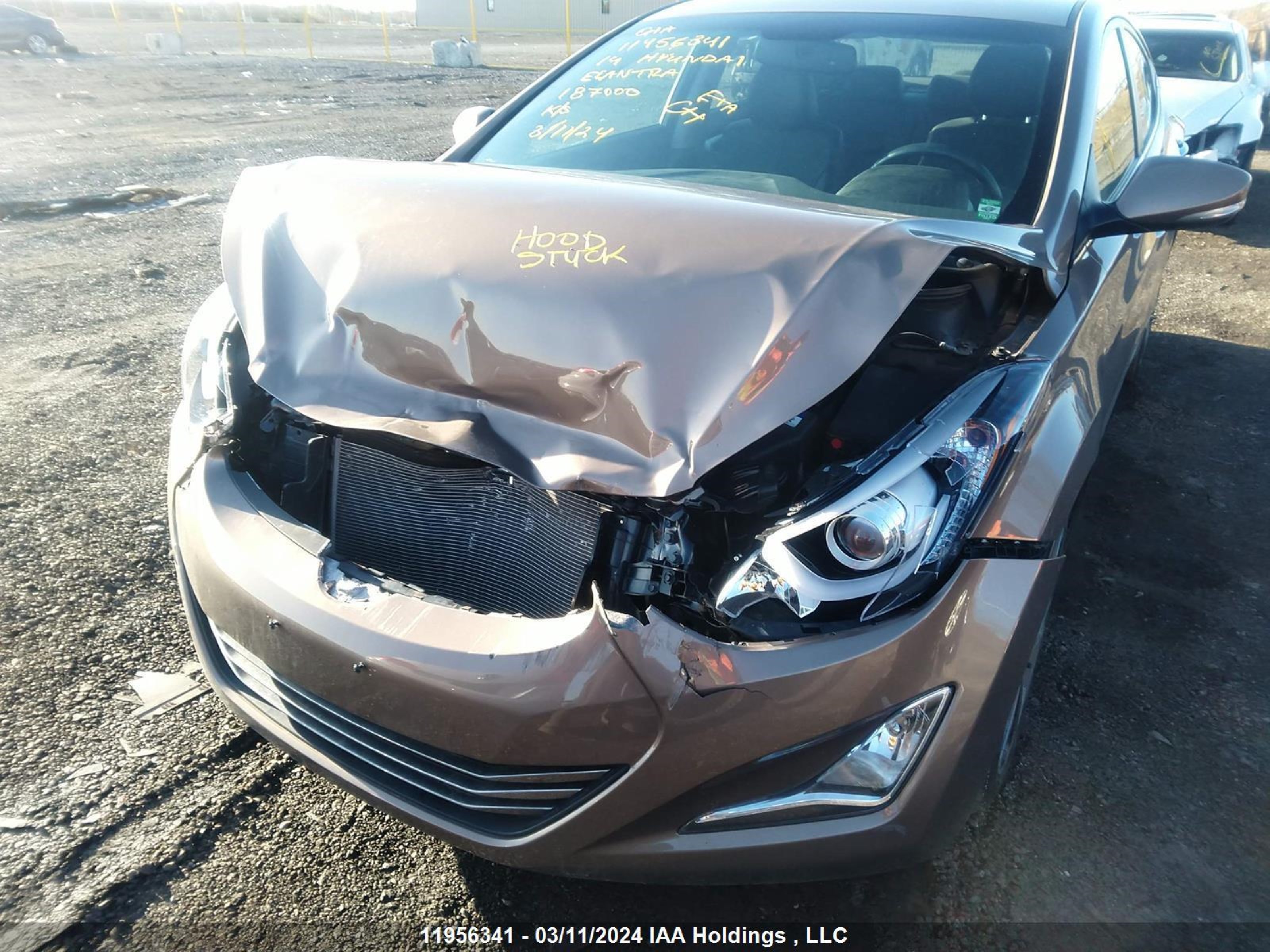 Photo 5 VIN: KMHDH4AH9EU187000 - HYUNDAI ELANTRA 