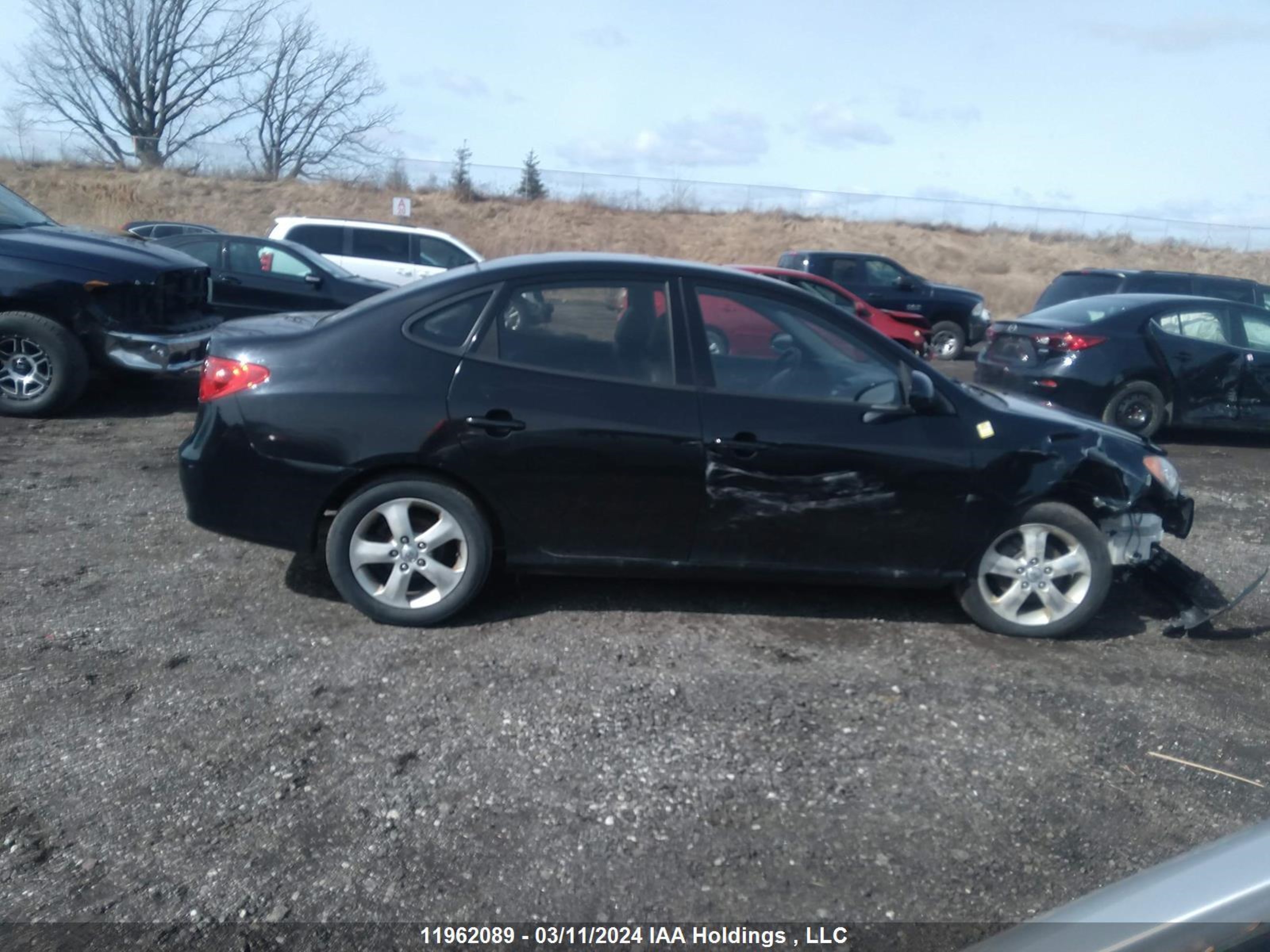 Photo 12 VIN: KMHDU4AD2AU028208 - HYUNDAI ELANTRA 