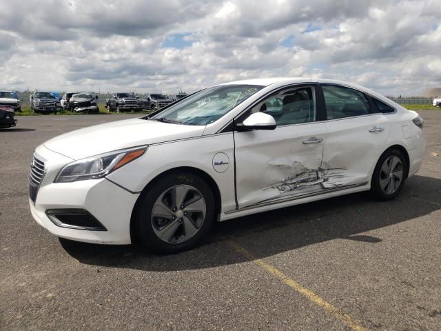 Photo 0 VIN: KMHE14L20GA024659 - HYUNDAI SONATA PLU 