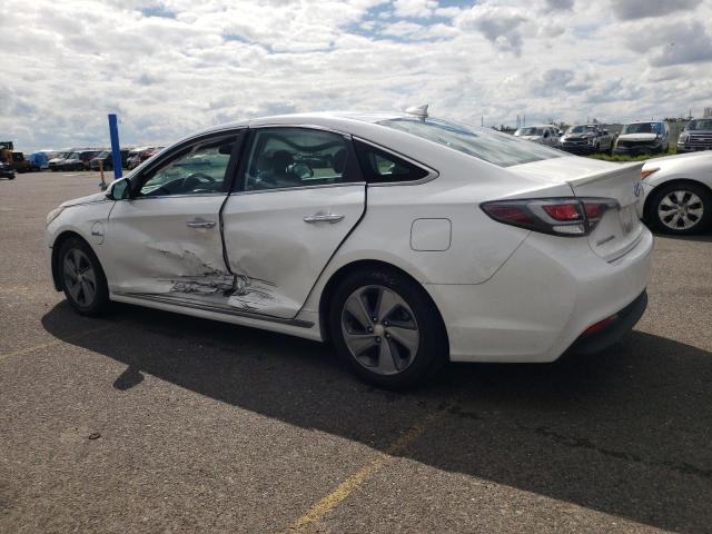 Photo 1 VIN: KMHE14L20GA024659 - HYUNDAI SONATA PLU 