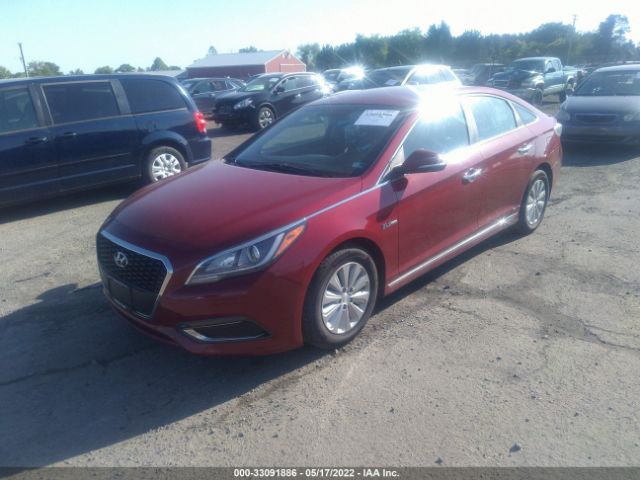 Photo 1 VIN: KMHE24L10GA011186 - HYUNDAI SONATA HYBRID 