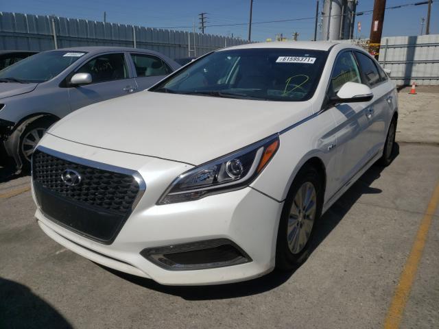 Photo 1 VIN: KMHE24L10GA013942 - HYUNDAI SONATA HYB 