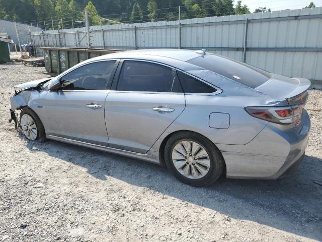 Photo 1 VIN: KMHE24L10GA016548 - HYUNDAI SONATA HYB 