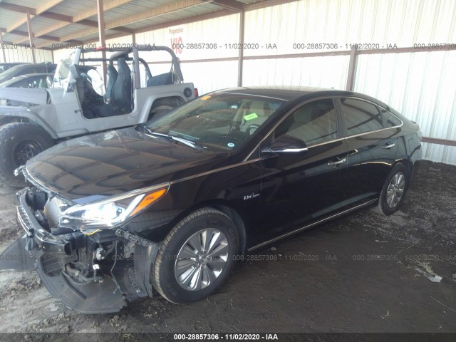 Photo 1 VIN: KMHE24L10HA046683 - HYUNDAI SONATA HYBRID 