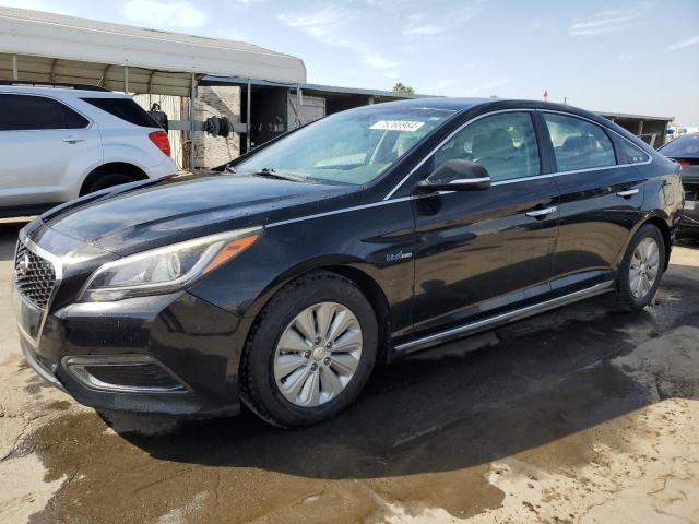 Photo 0 VIN: KMHE24L11GA011374 - HYUNDAI SONATA HYB 