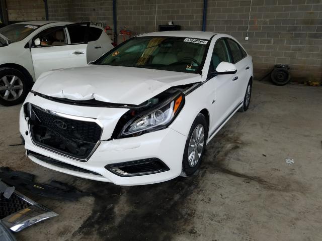 Photo 1 VIN: KMHE24L11GA018485 - HYUNDAI SONATA HYB 