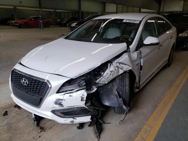 Photo 1 VIN: KMHE24L12GA010668 - HYUNDAI SONATA HYB 